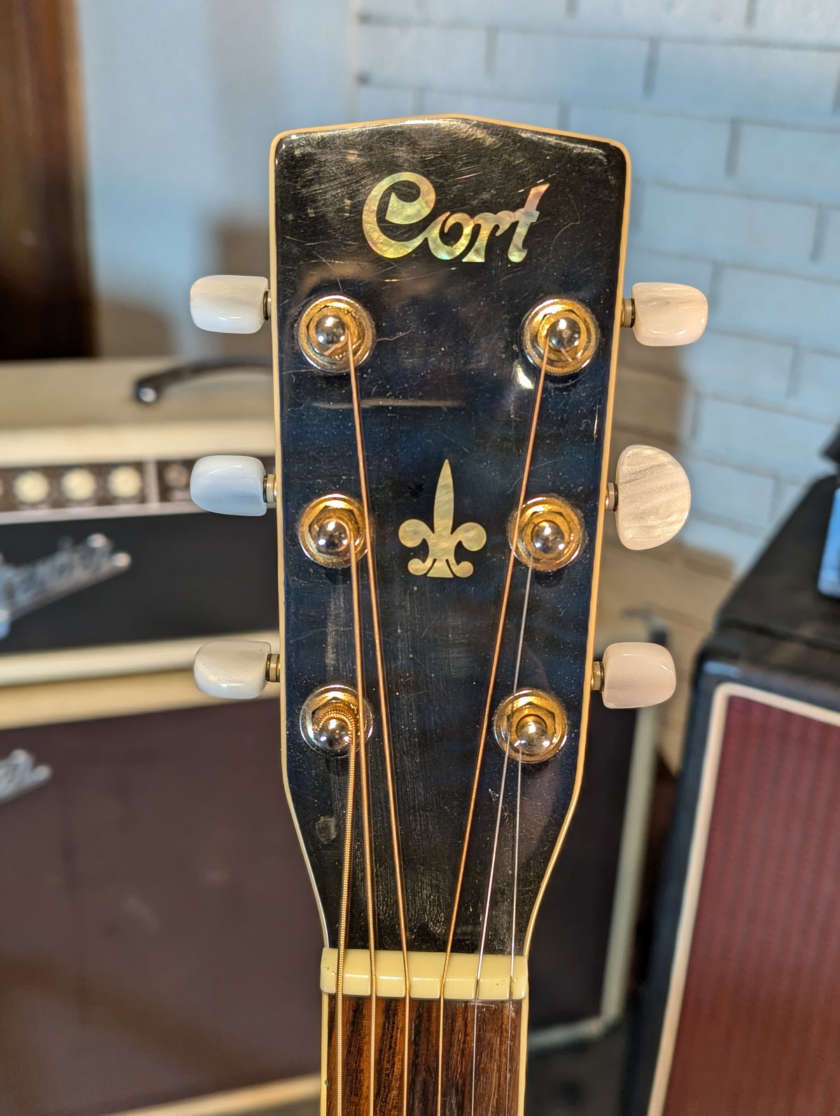 Cort MR-780FX Acoustic/Electric Guitar w/Gig Bag - Blue (Used)