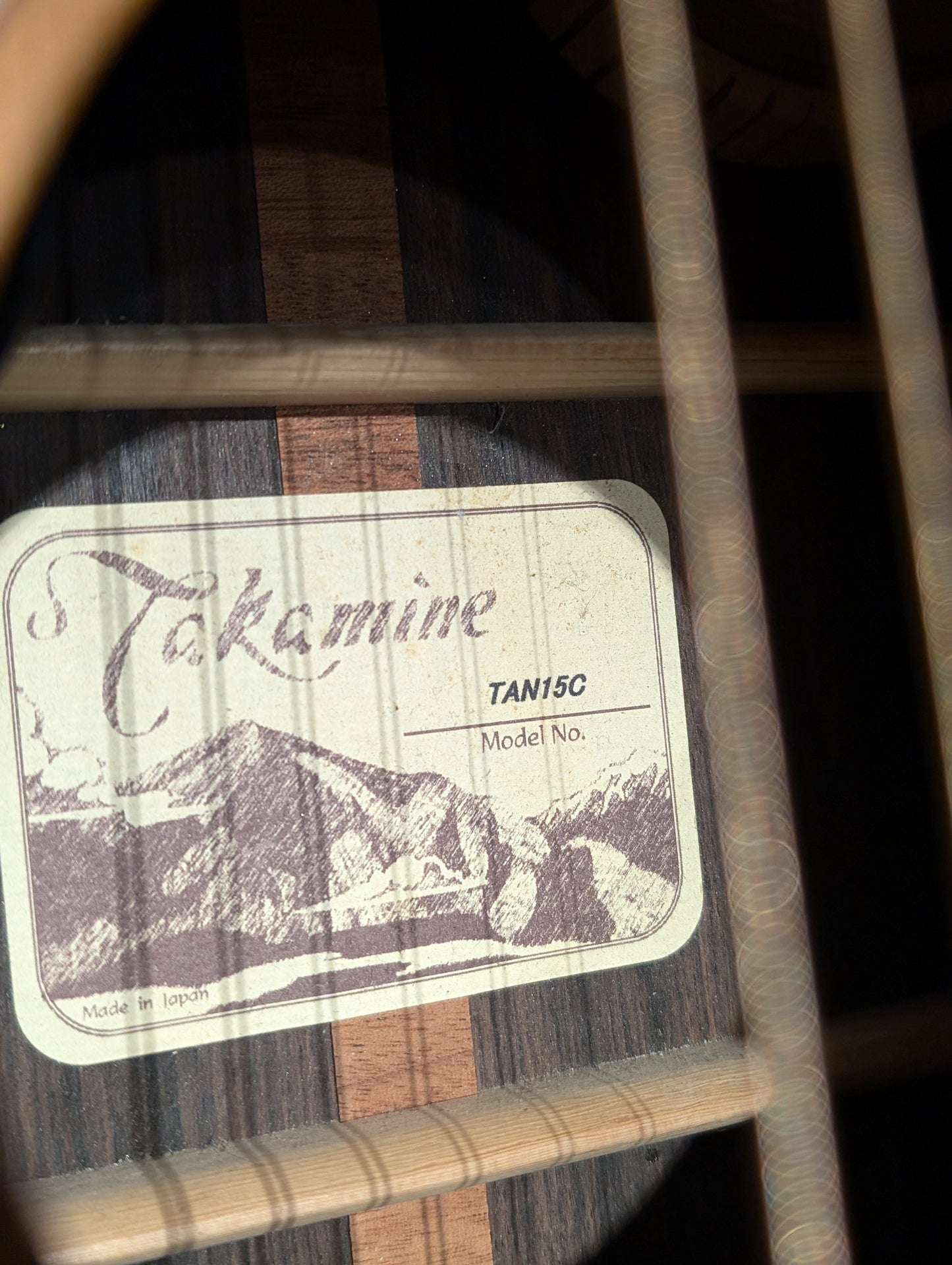 Takamine TAN15C Acoustic/Electric Guitar w/Case - Gloss Natural (2005)