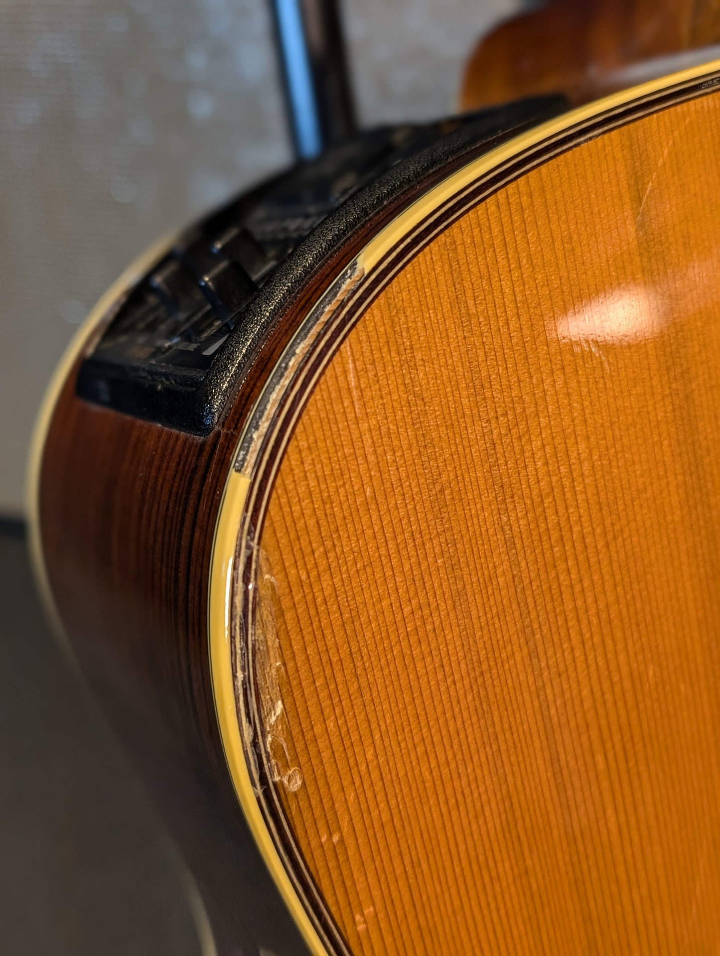 Takamine TAN15C Acoustic/Electric Guitar w/Case - Gloss Natural (2005)