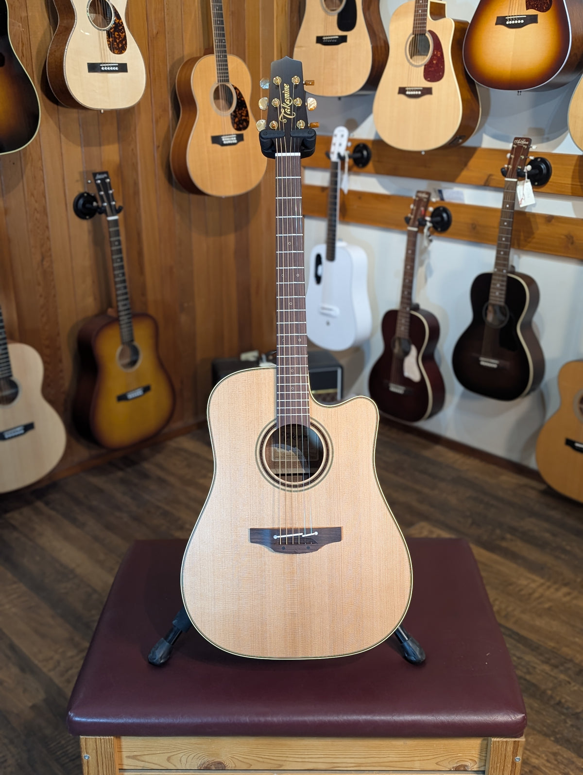 Takamine P3DC Pro Series Acoustic/Electric Guitar w/Case (Serial #62060173)