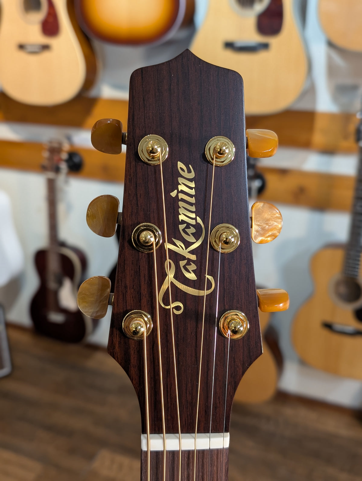 Takamine P3DC Pro Series Acoustic/Electric Guitar w/Case (Serial #62060173)