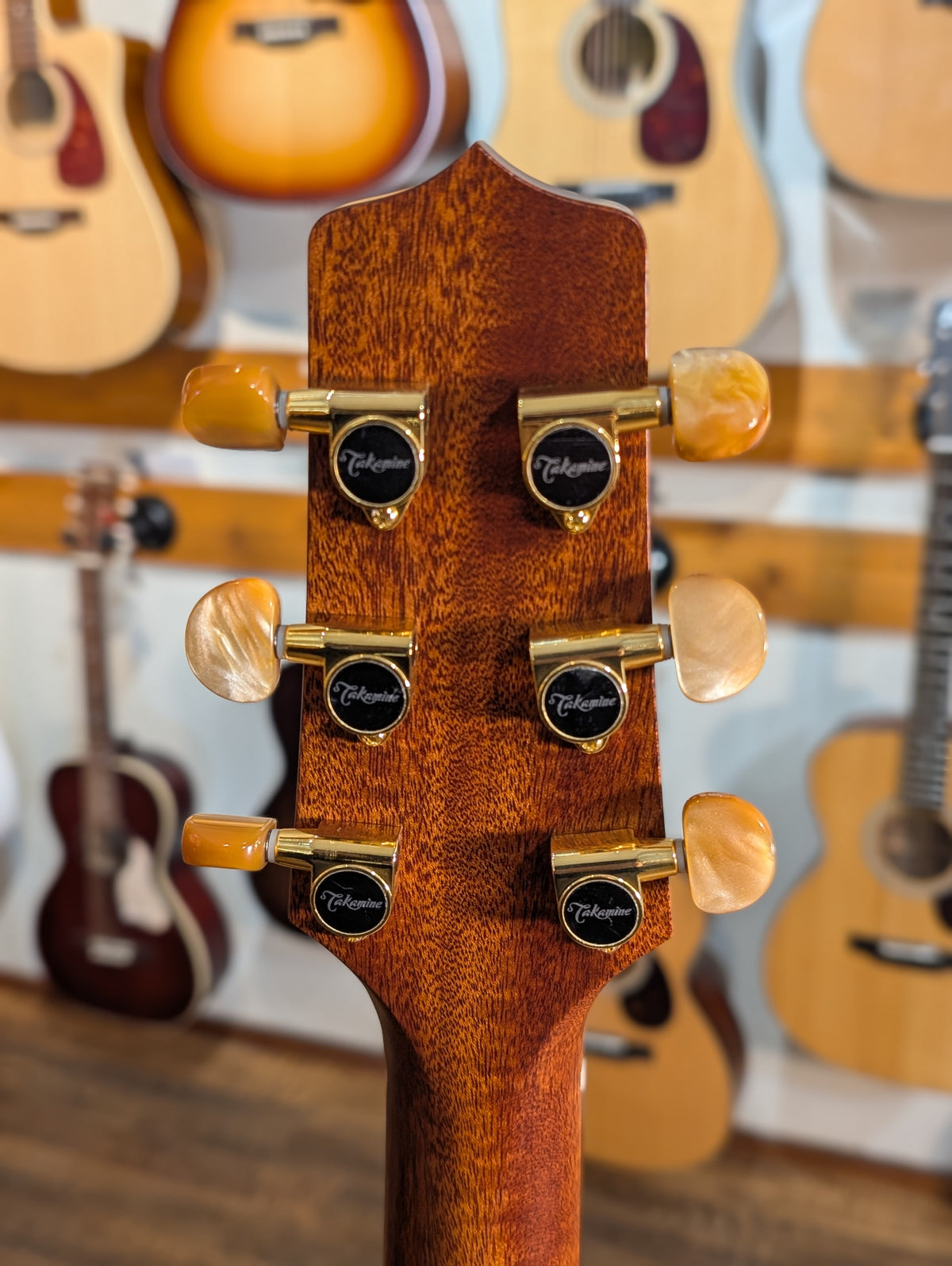 Takamine P3DC Pro Series Acoustic/Electric Guitar w/Case (Serial #62060173)