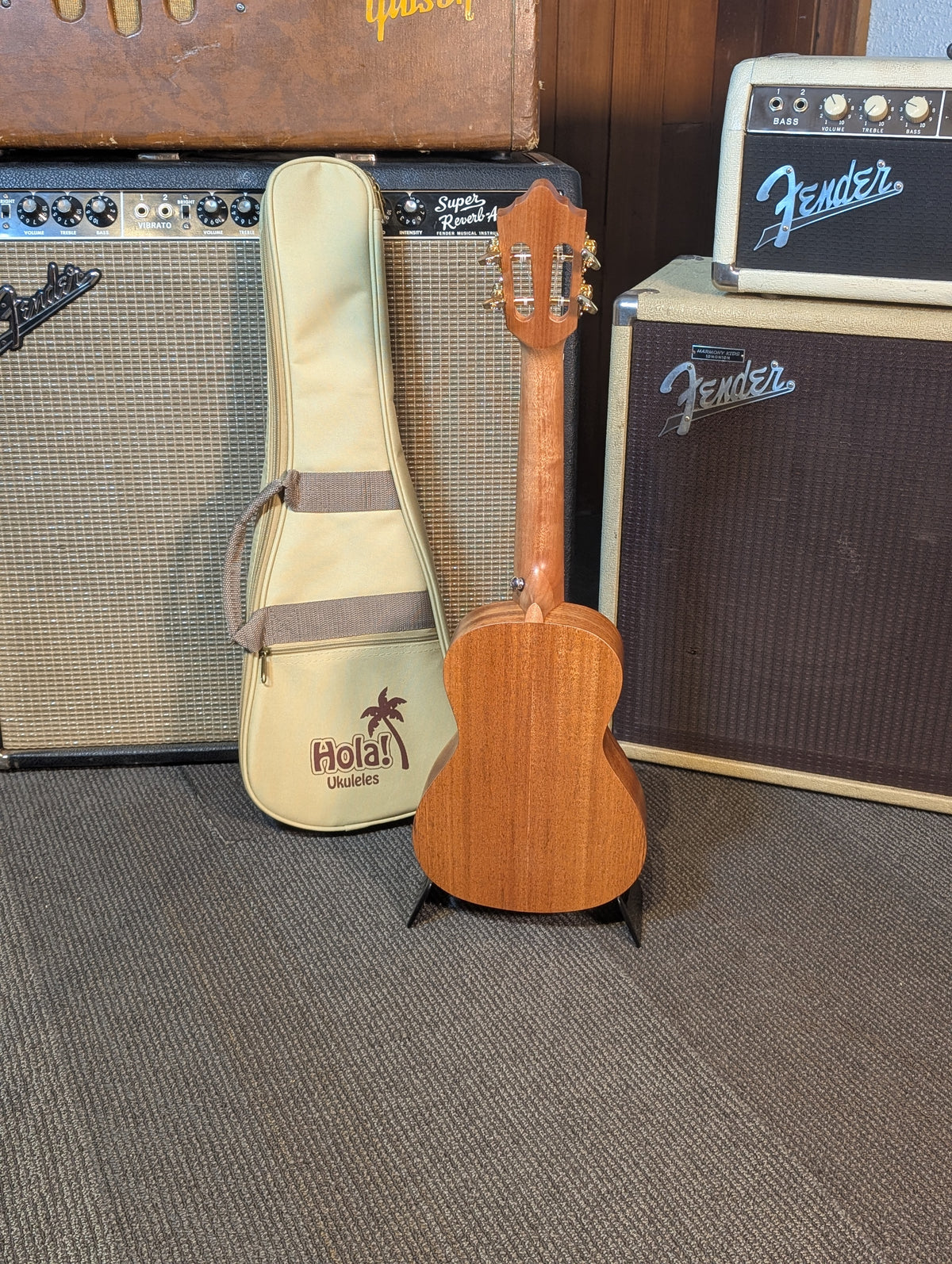 Hola Deluxe Concert Ukulele w/Gig Bag & Strap