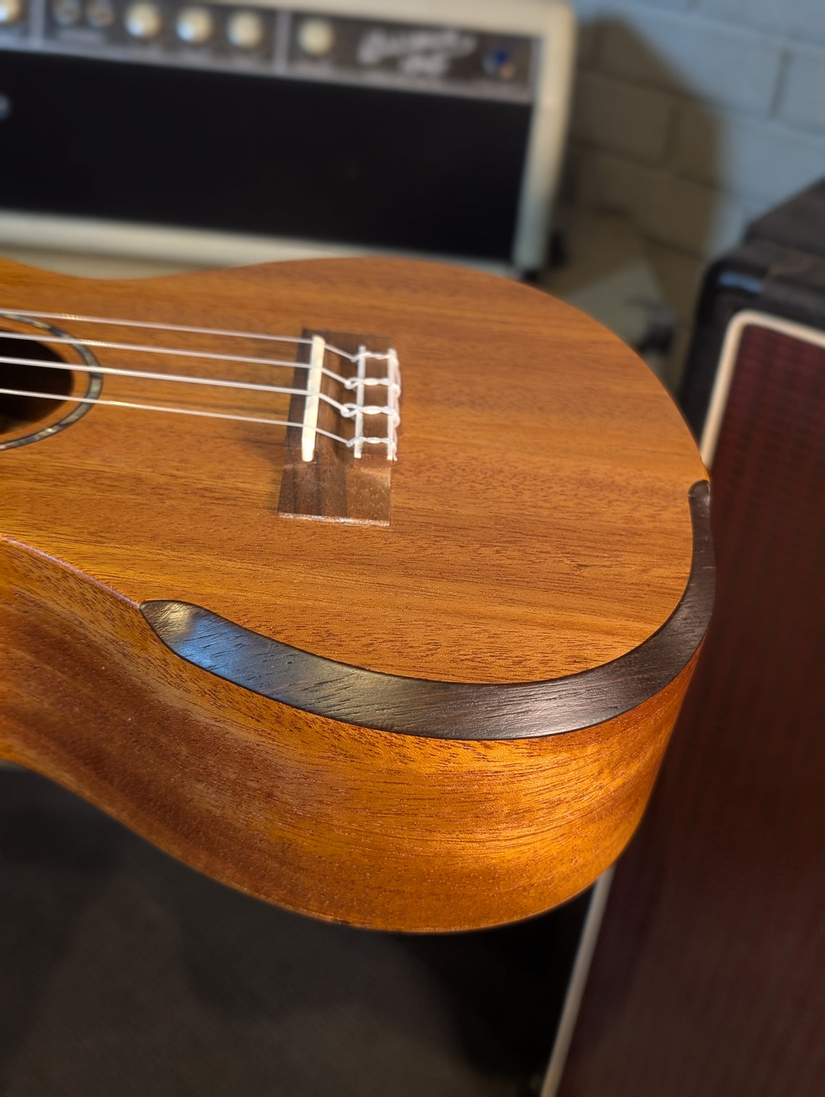 Hola Deluxe Concert Ukulele w/Gig Bag & Strap