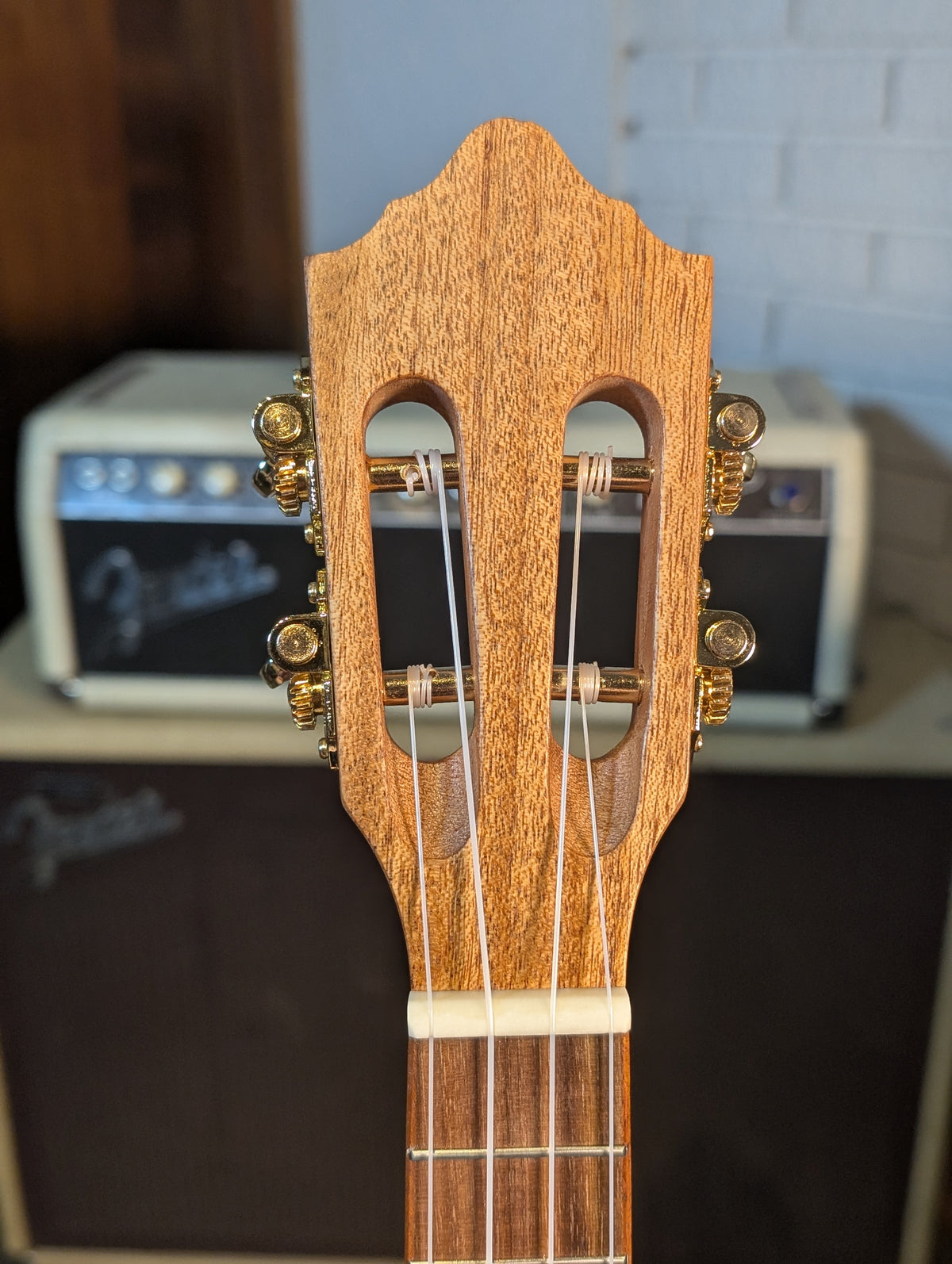 Hola Deluxe Concert Ukulele w/Gig Bag & Strap