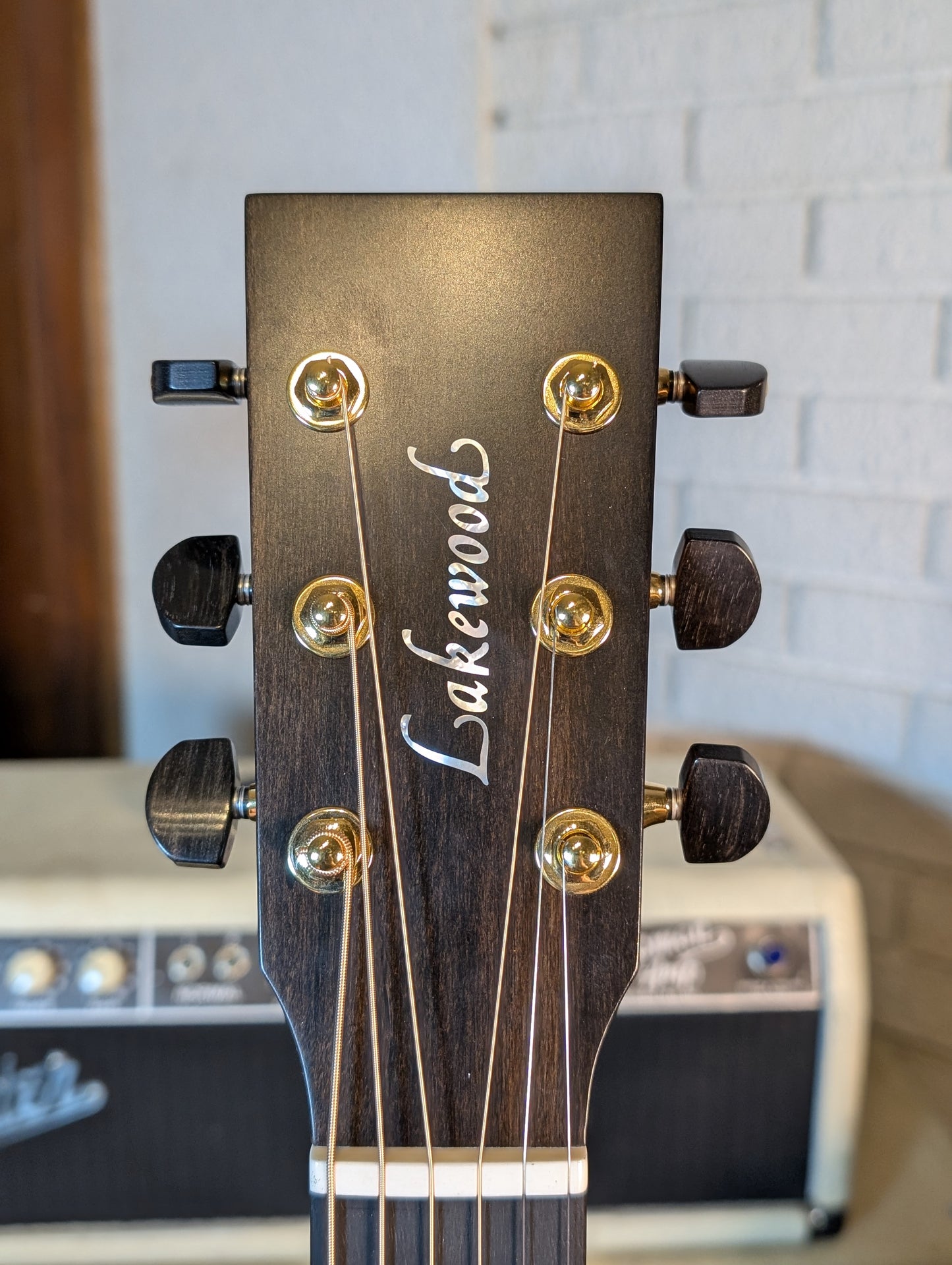 Lakewood D-32 CP Dreadnought Acoustic/Electric Guitar w/Case (Serial #36228)