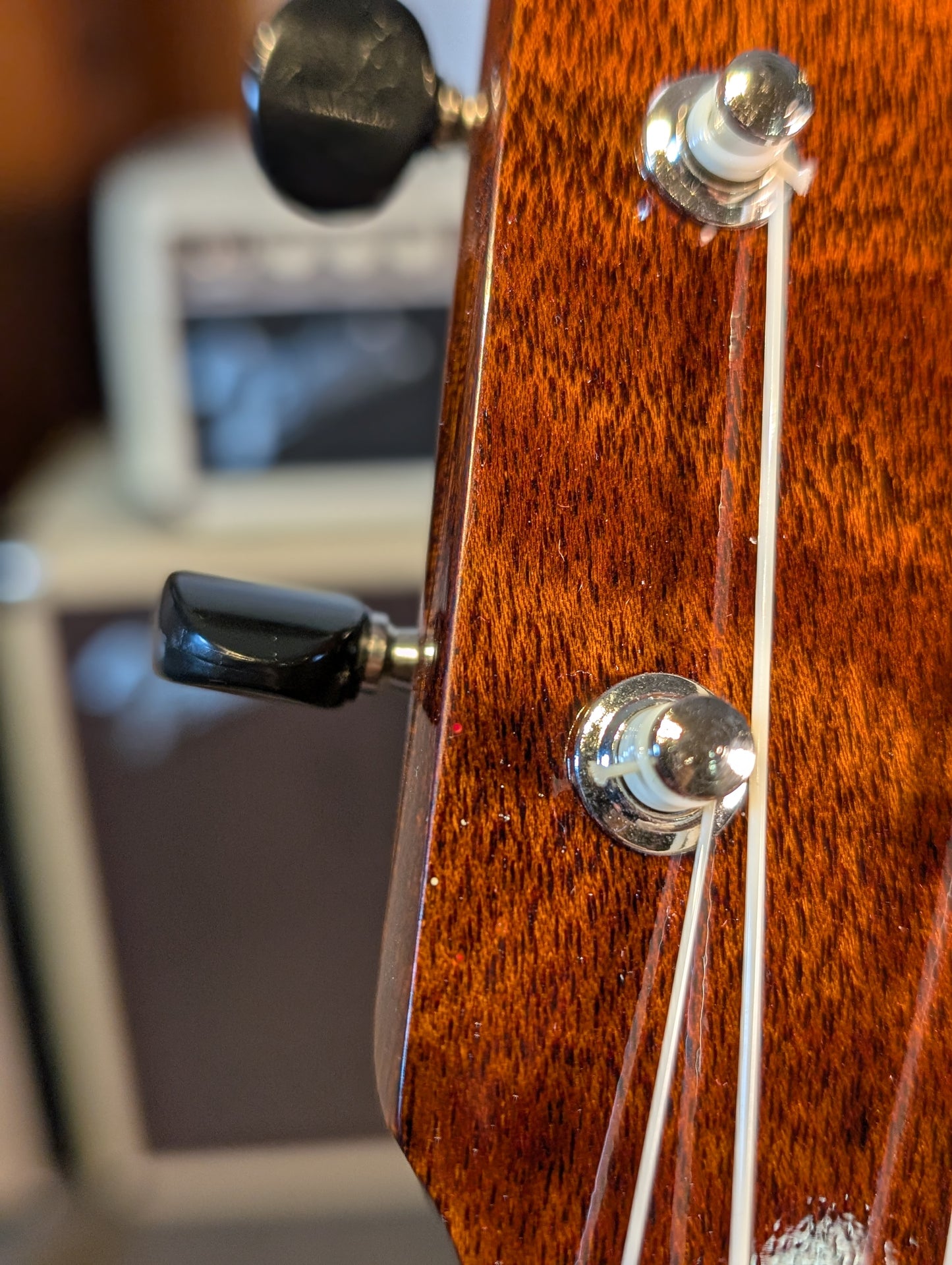 Eastman EU3-T Solid Wood Tenor Uklele w/Case - Classic Finish (B-Stock Serial #M2319178)