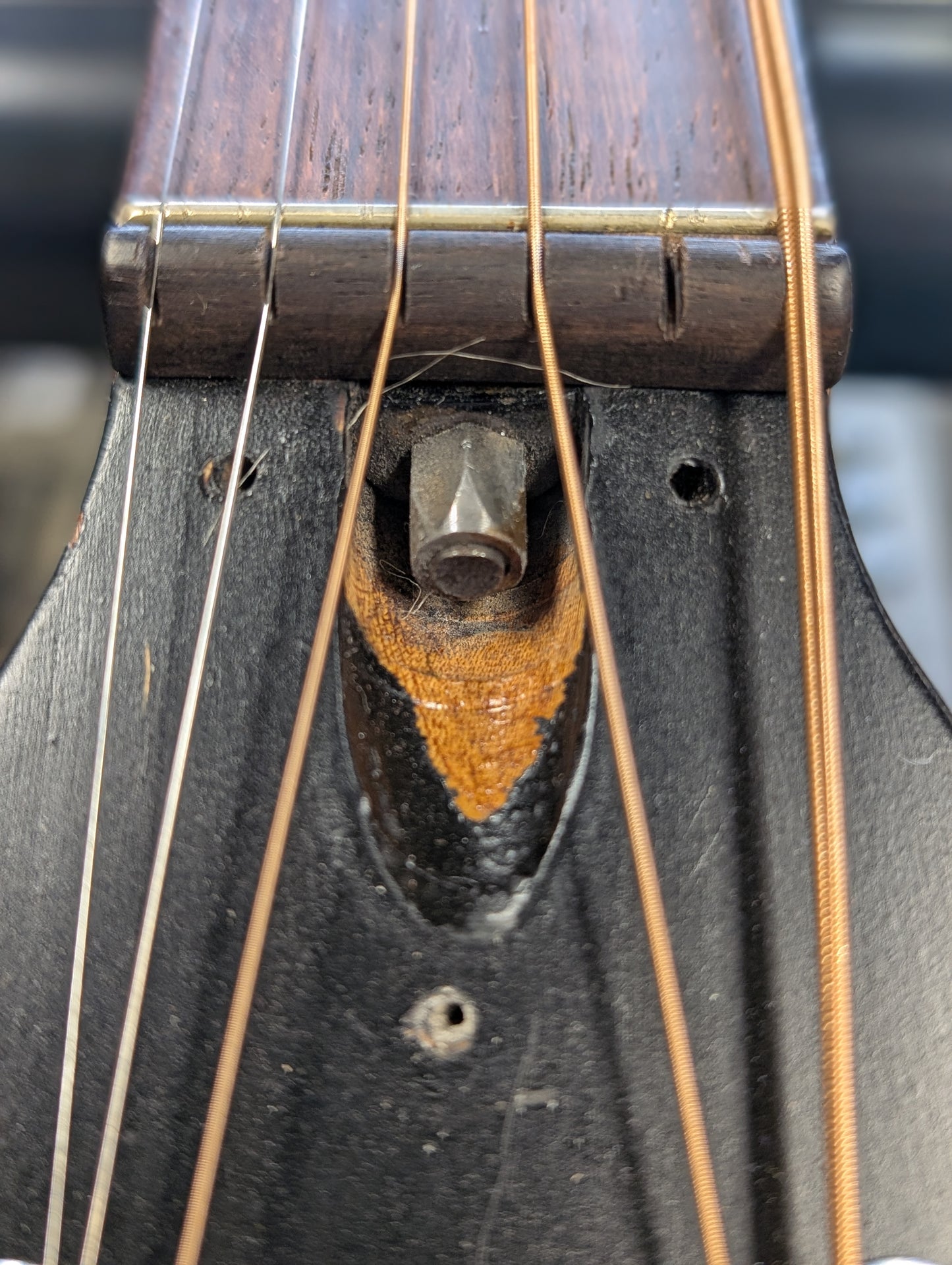 Framus 5/1 "Amateur" Wander Gitarren Parlor Acoustic Guitar (1950's - 1960's)