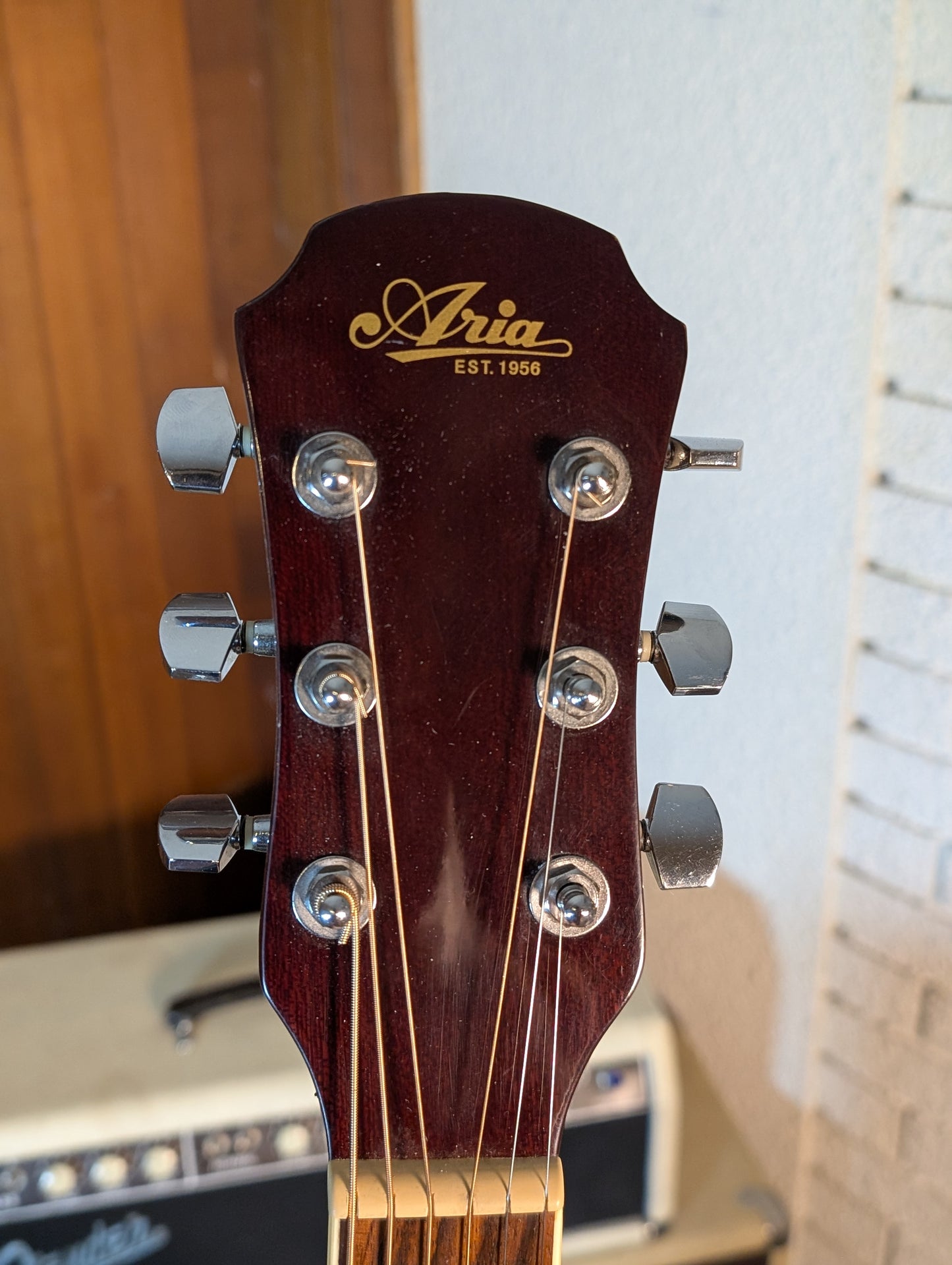 Aria AWN-15RS Dreadnought Acoustic Guitar w/Gig Bag - Red Shade (Used)