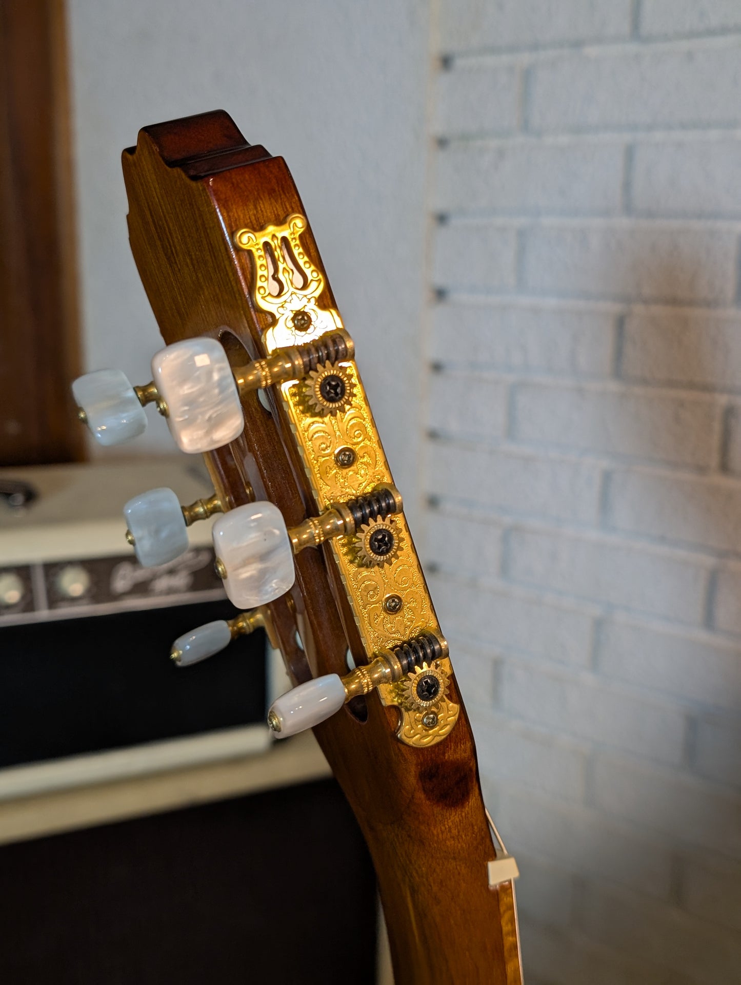 Beaver Creek Solid Top Cutaway Classical Guitar - Gloss Natural