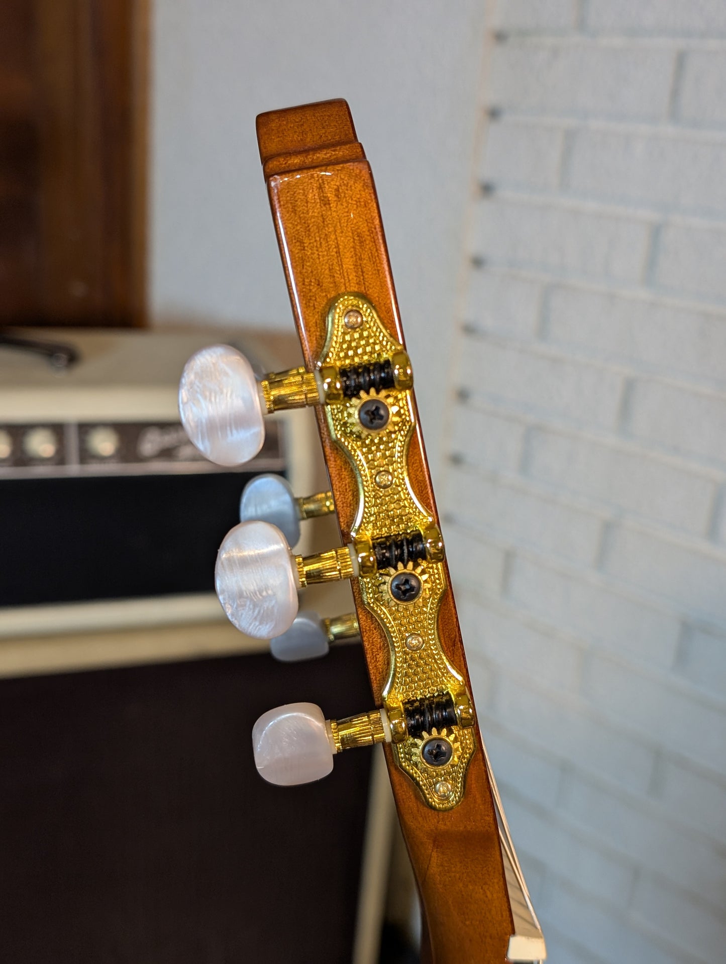 Beaver Creek Solid Top Classical Guitar - Gloss Natural
