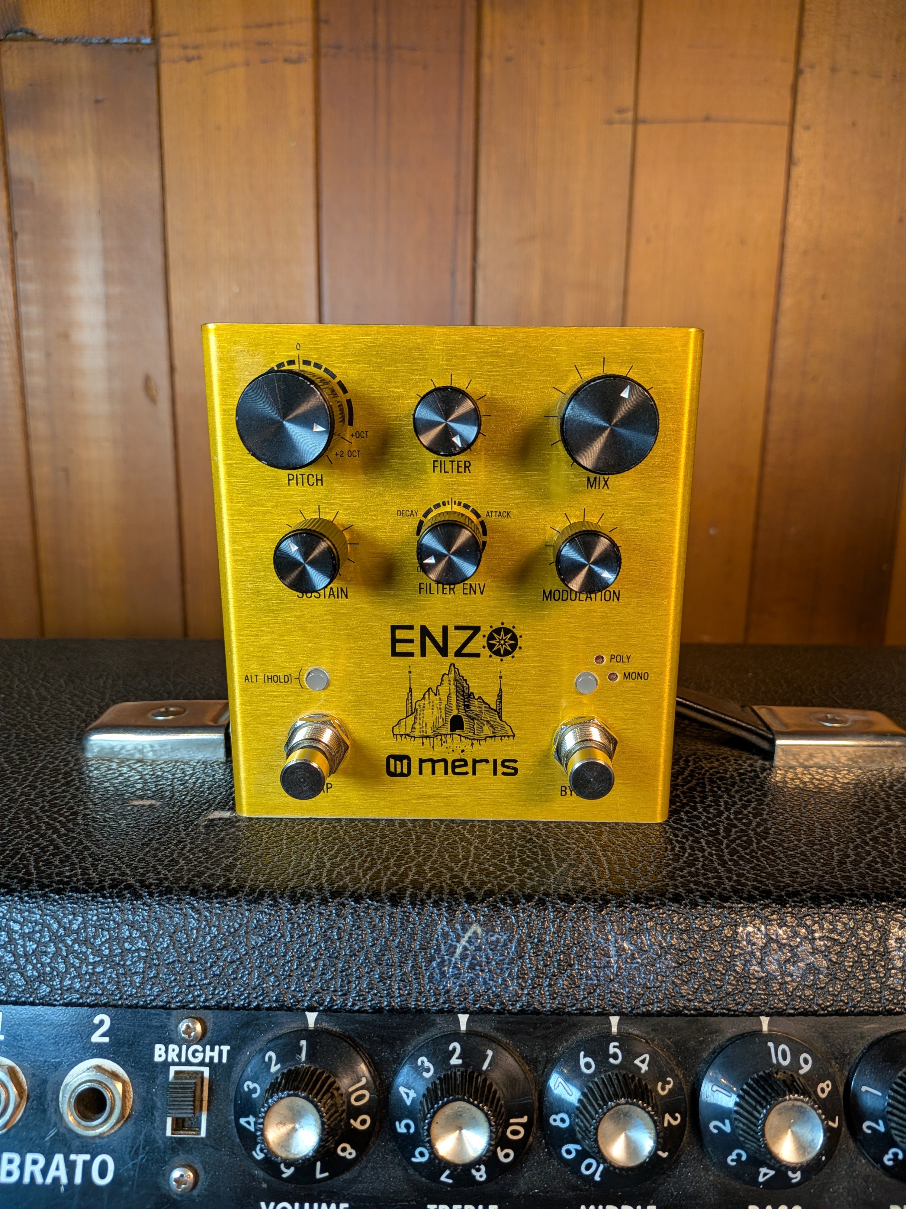 Meris Enzo Multi-Voice Instrument Synthesizer Pedal (Used