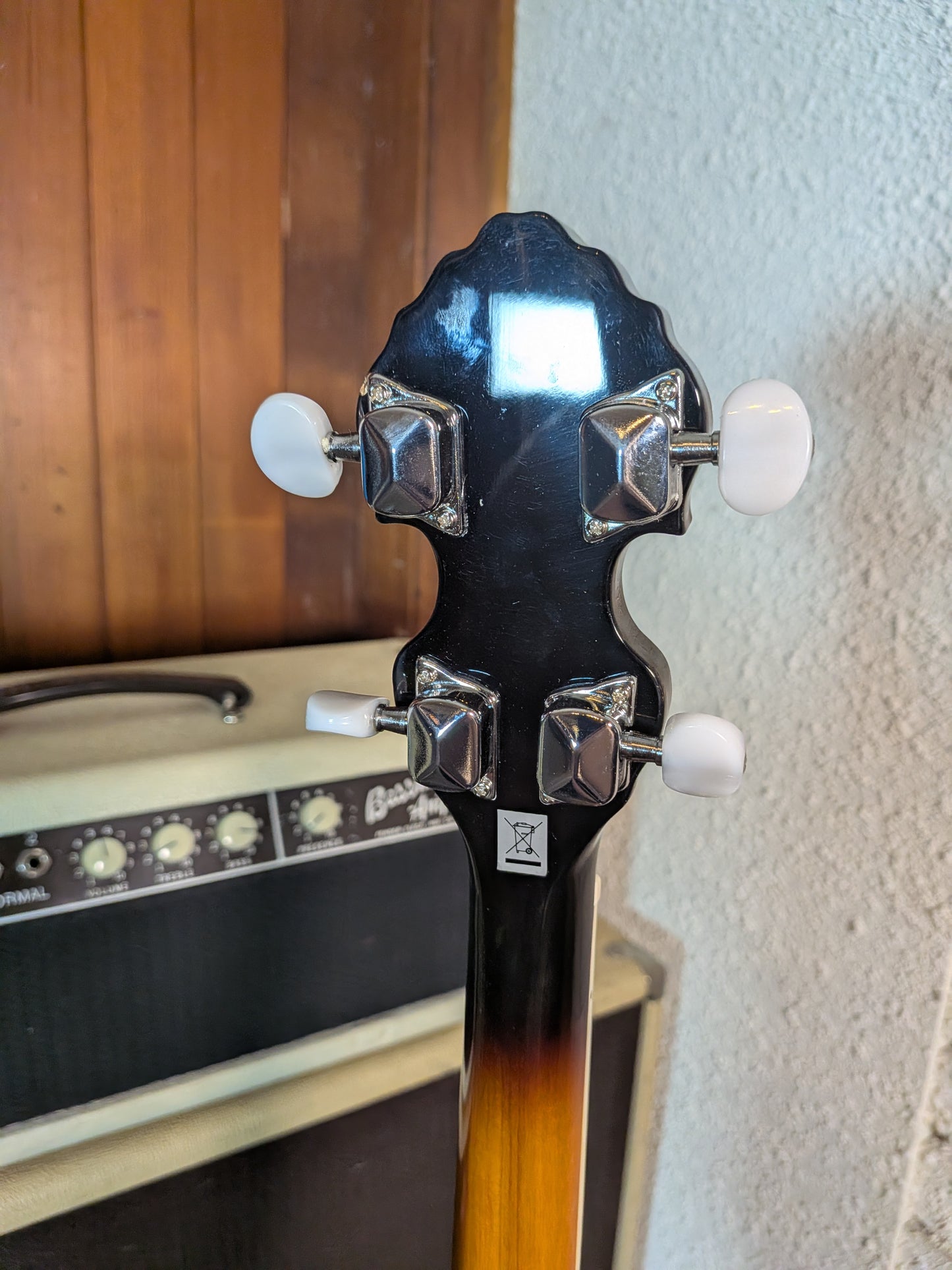 Alabama ALB31 5-String Banjo - Sunburst (Demo)