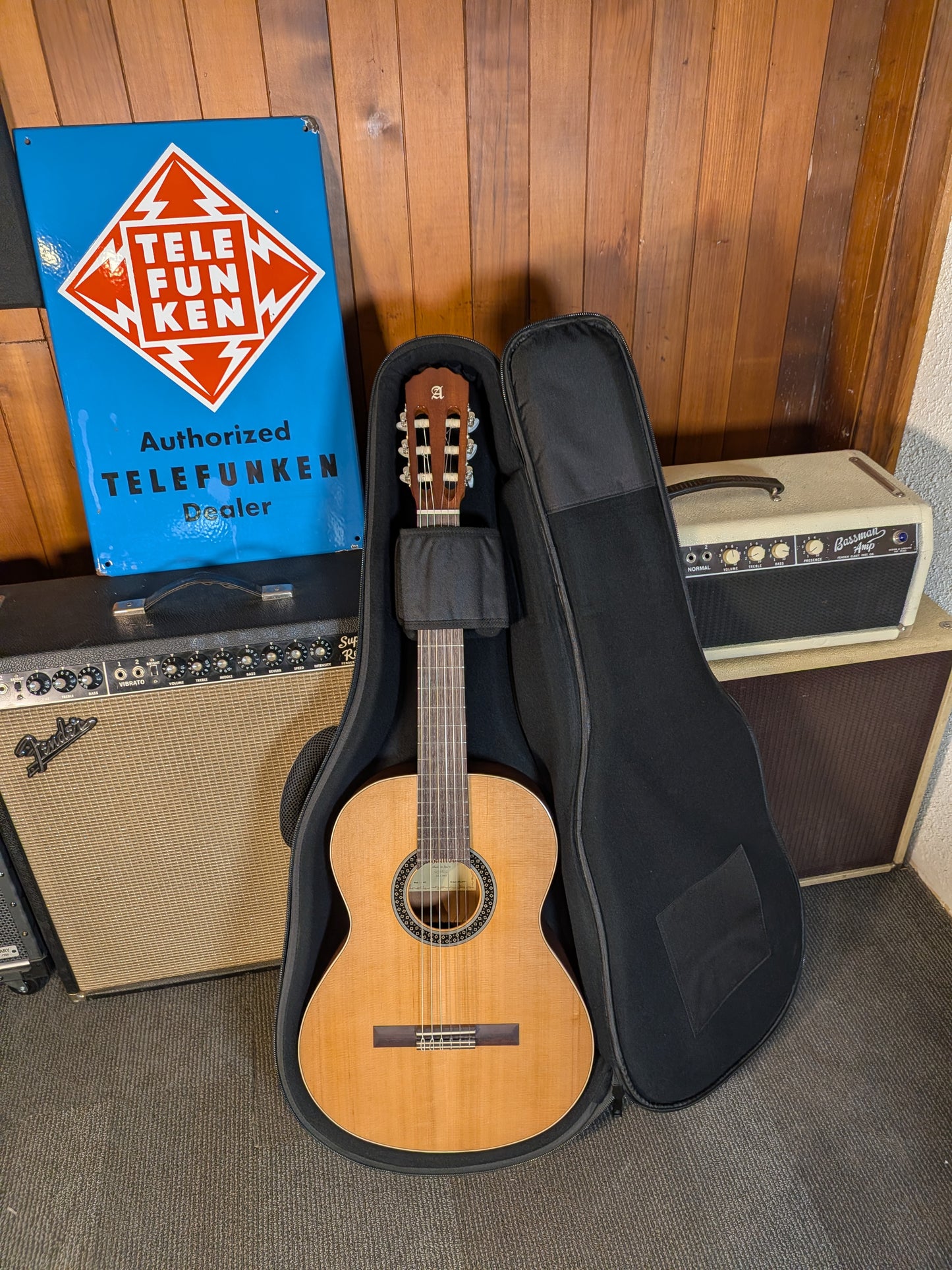 Alhambra Guitars 1C Hybrid Terra Student Classical Guitar w/Gig Bag (Serial #WL1FFP)