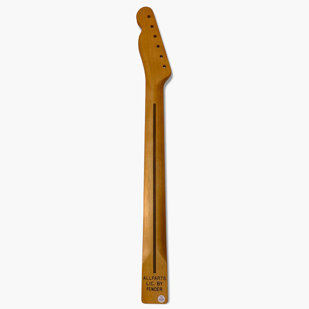 Allparts TMTF-FAT Replacement Neck for Telecaster - 1-Piece Maple
