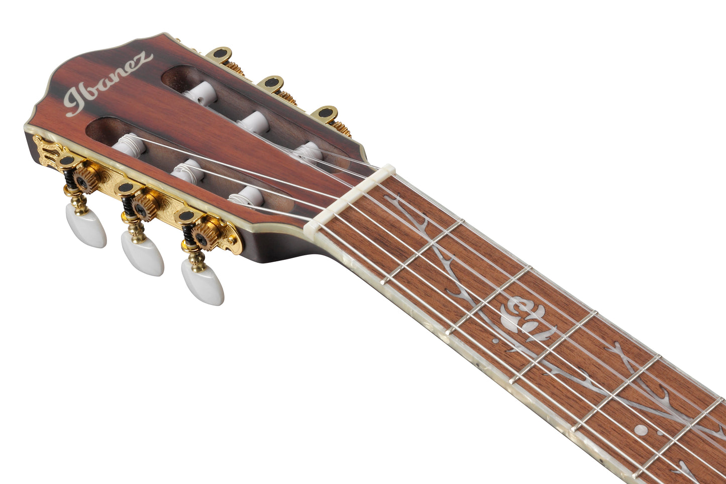Ibanez TOD10N Tim Henson Signature Acoustic/Electric Nylon String Guitar - Transparent Black Flat
