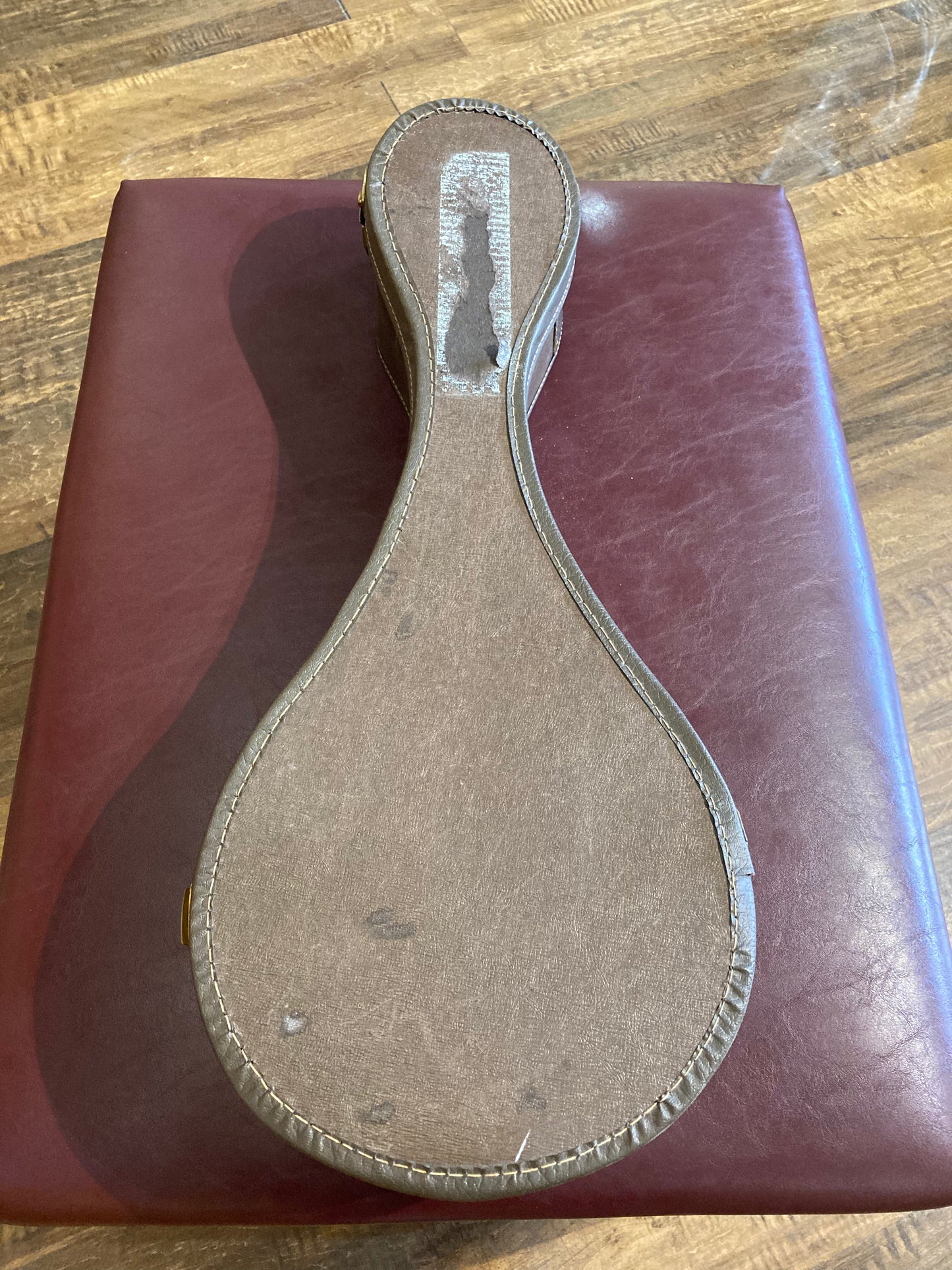 Anjo M182 Mandolin w/Vintage Case (1970's)