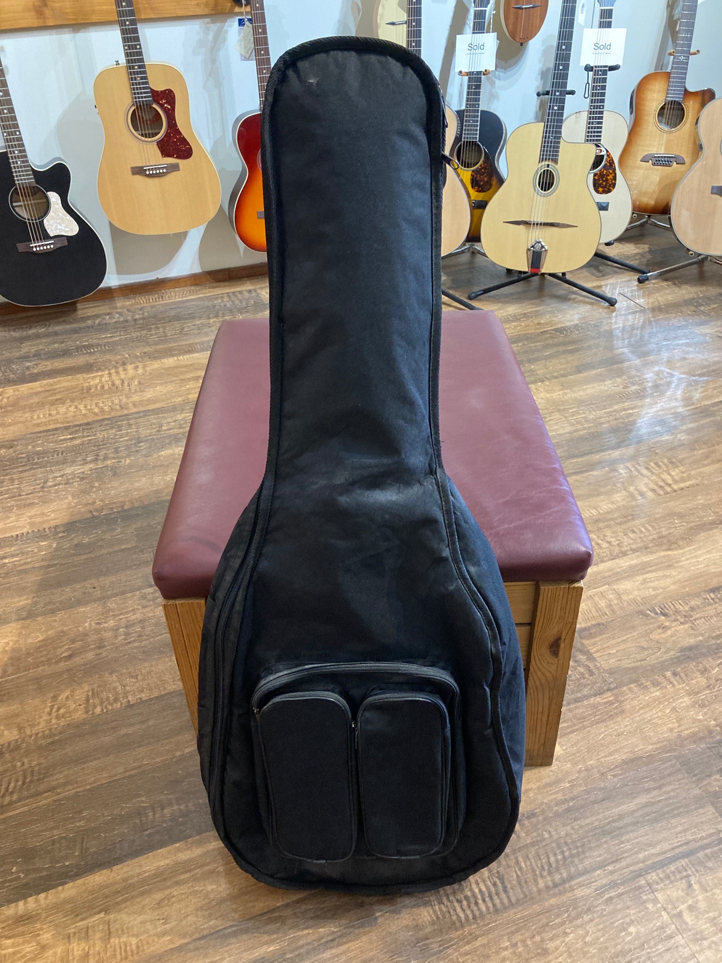 Epiphone Dot CH Hollowbody Electric Guitar w/Gig Bag (2014)