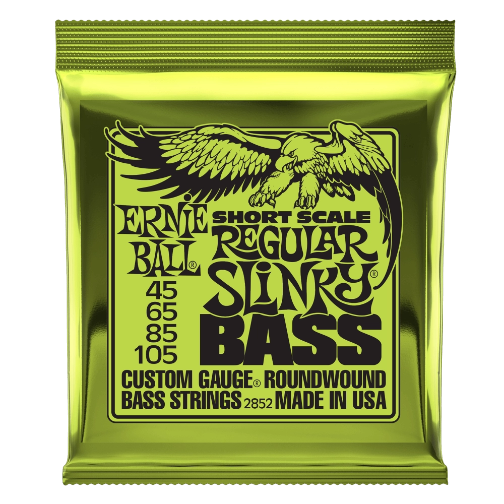 Ernie Ball Slinky Bass Strings