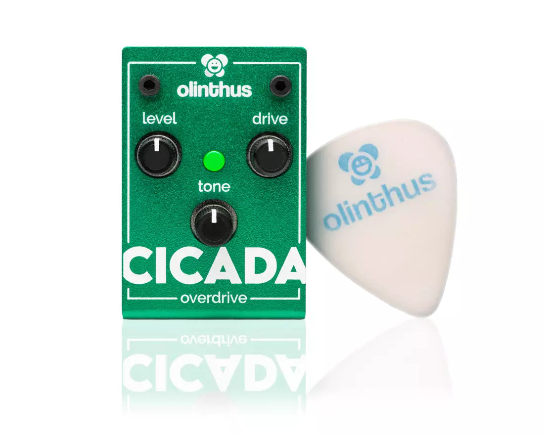 Olinthus Cicada Mini Overdrive Pedal