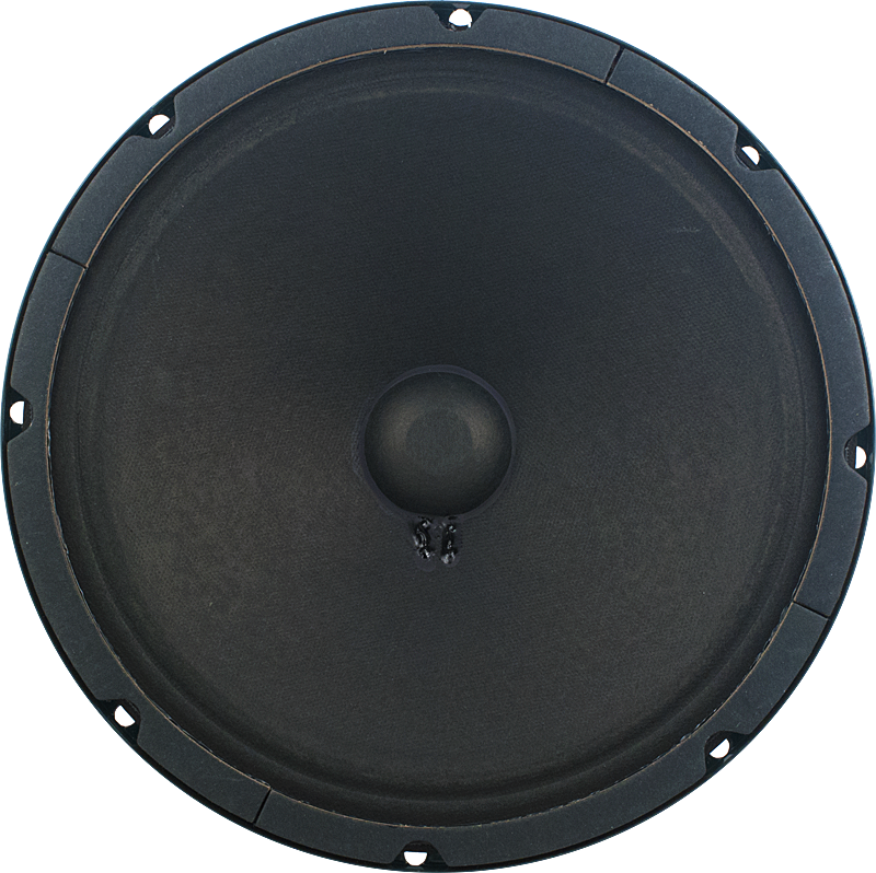 Jensen P10Q Vintage Alnico Speaker - 10" 40w 16ohm