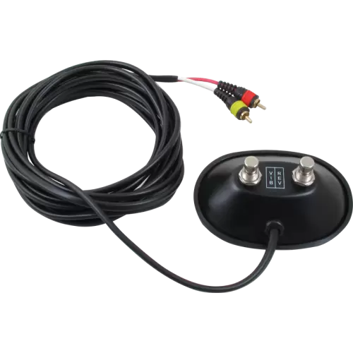 Fender Style 2 Button Footswitch