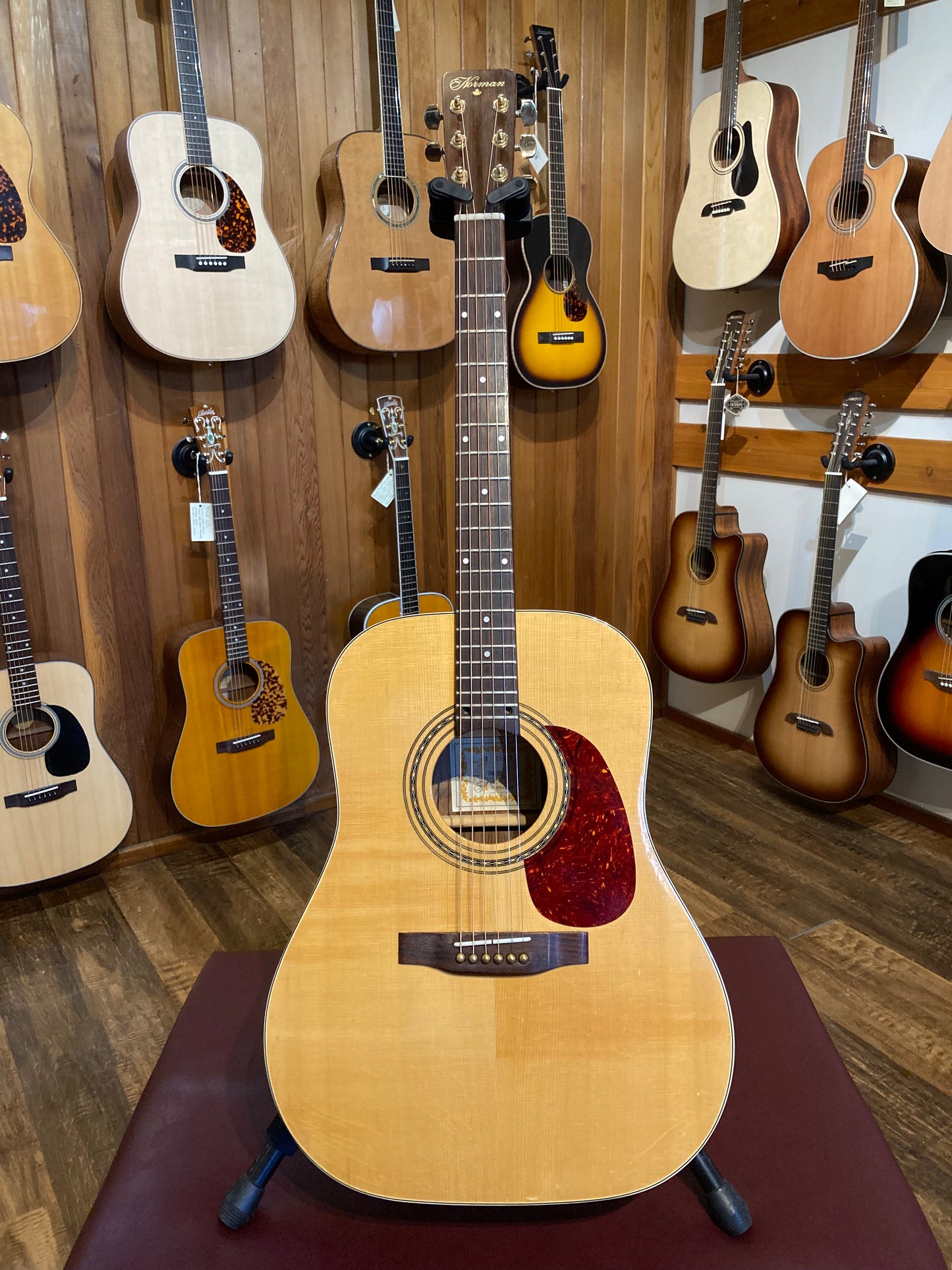 Norman Studio 68 (Used)