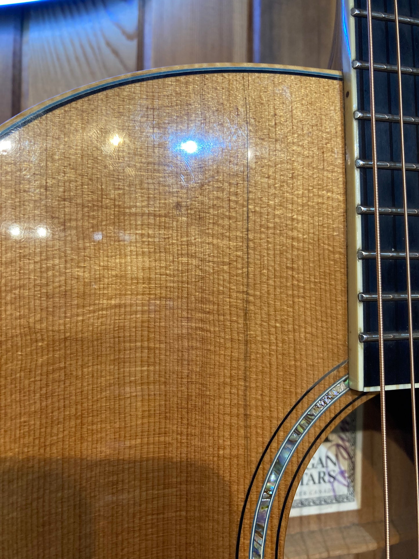 Morgan JM Jumbo Acoustic (2006)