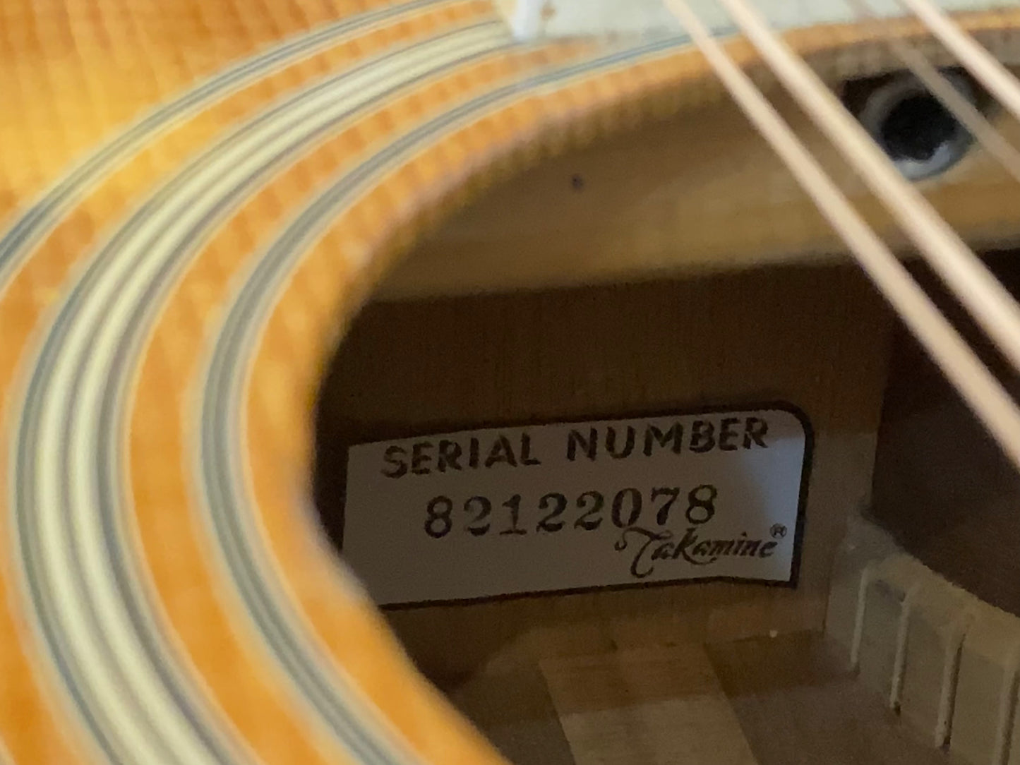 Takamine EF-400SC 12-String (1982)