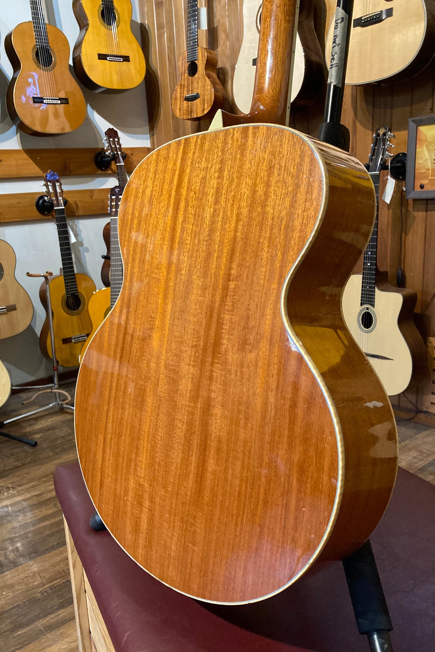 Morgan JM Jumbo Acoustic (2006)
