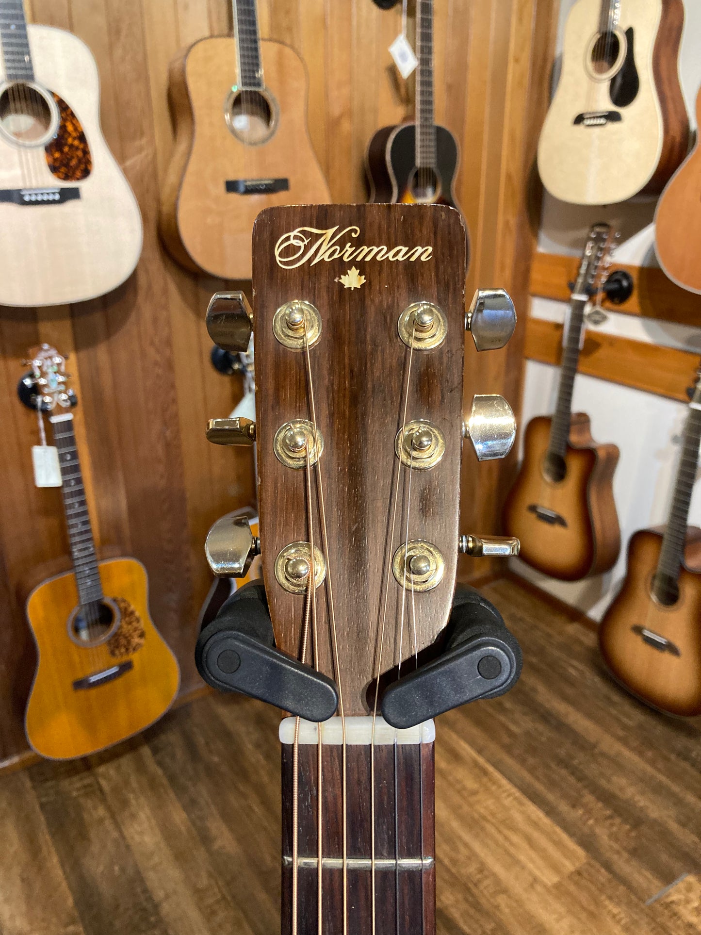 Norman Studio 68 (Used)