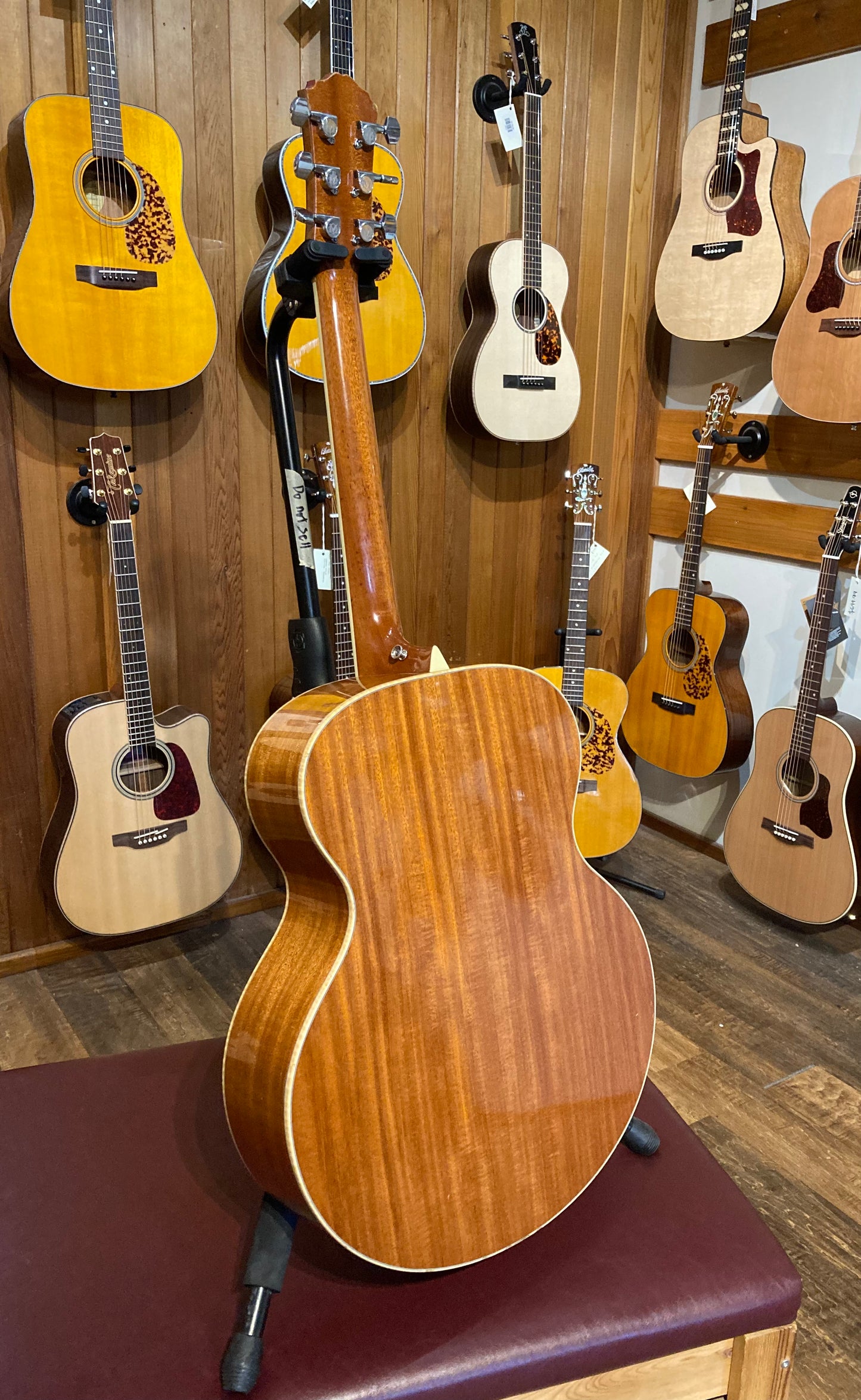 Morgan JM Jumbo Acoustic (2006)