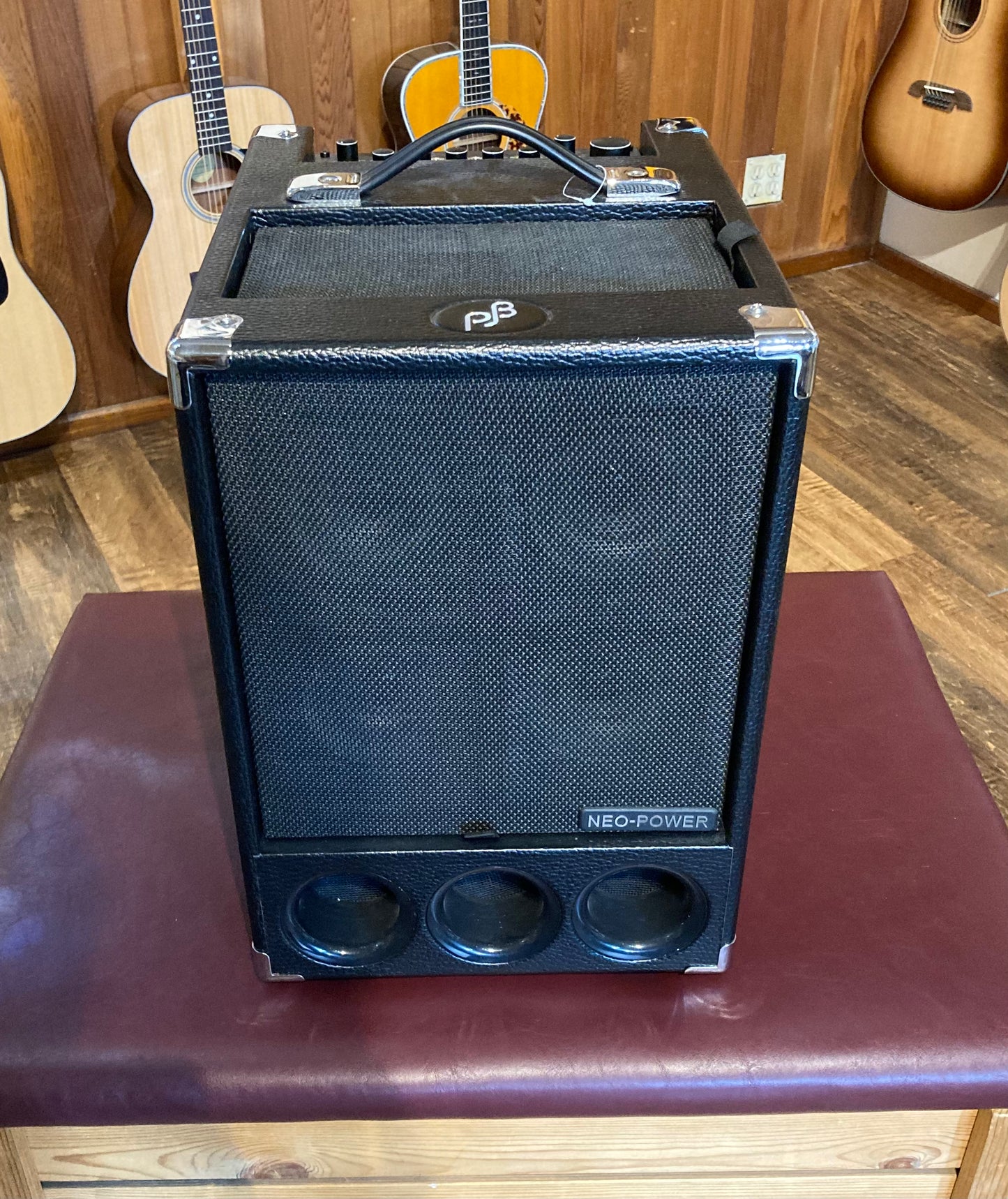 Phil Jones BG-300 (Used)