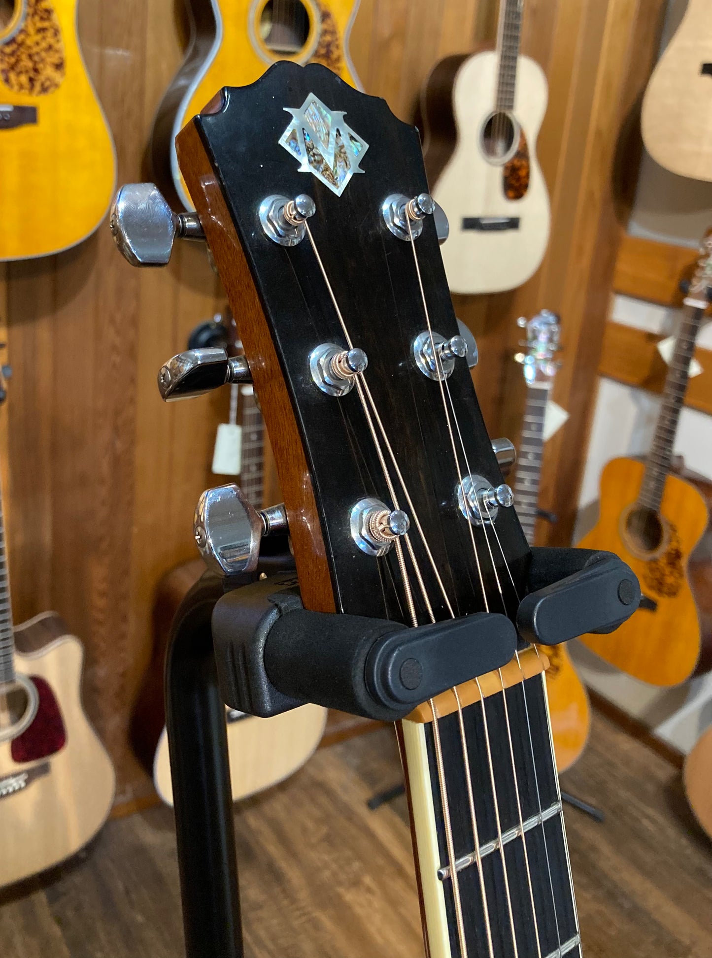 Morgan JM Jumbo Acoustic (2006)
