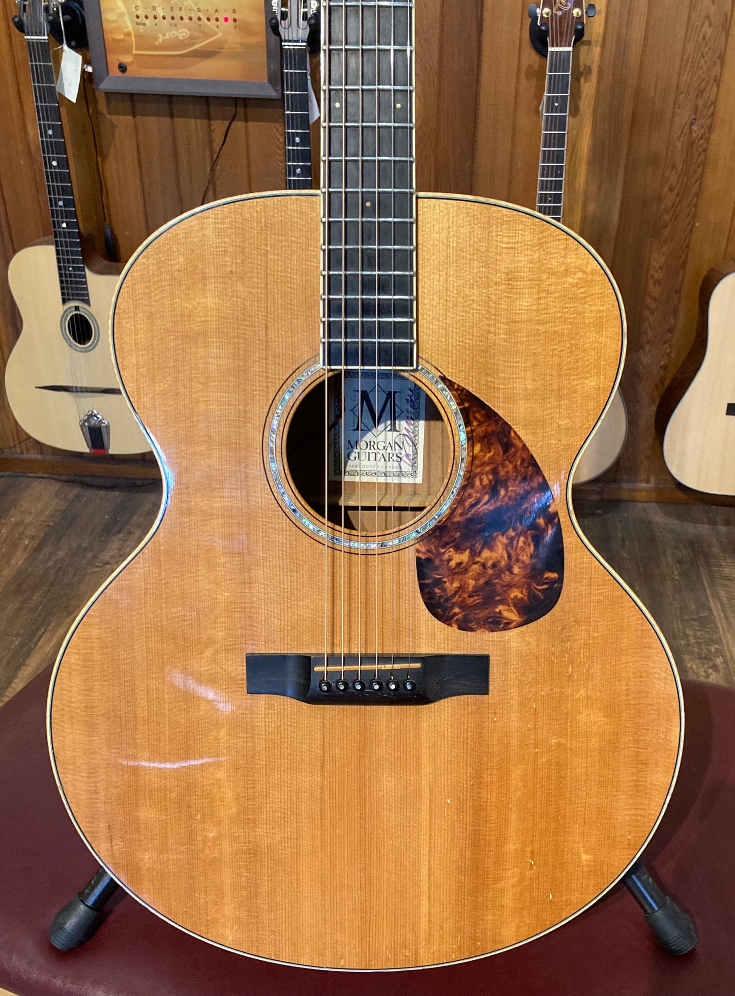 Morgan JM Jumbo Acoustic (2006)