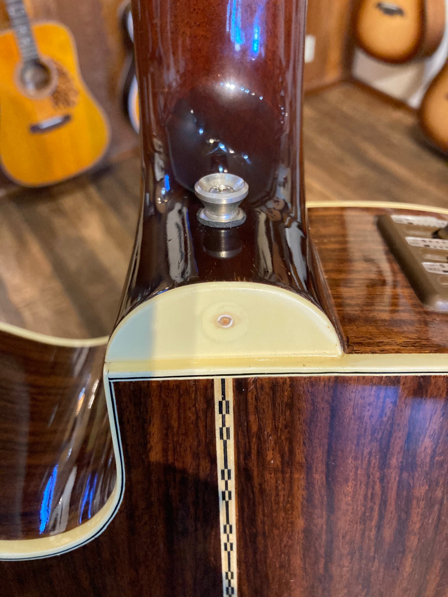 Takamine EF-400SC 12-String (1982)