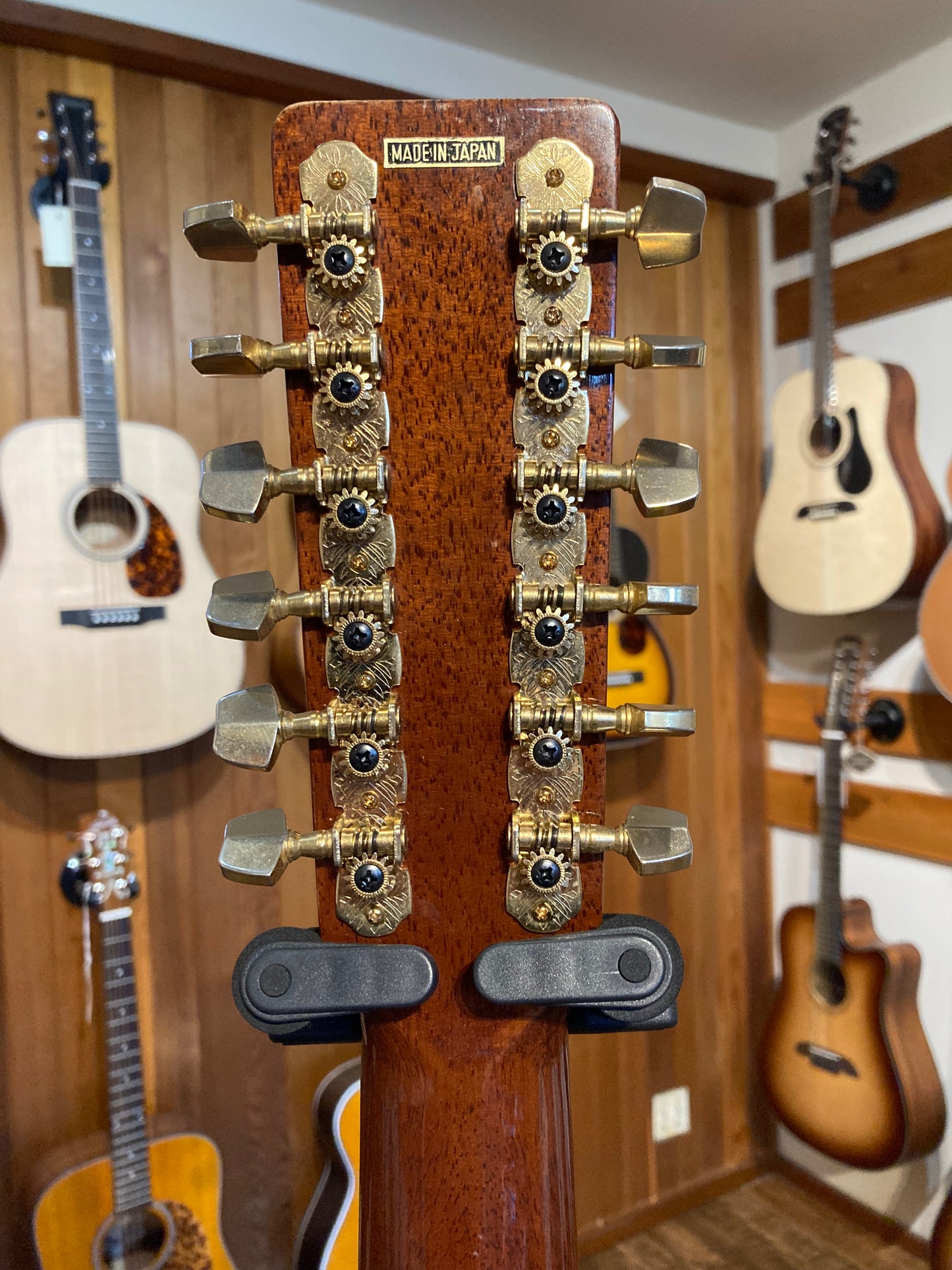 Takamine EF-400SC 12-String (1982)