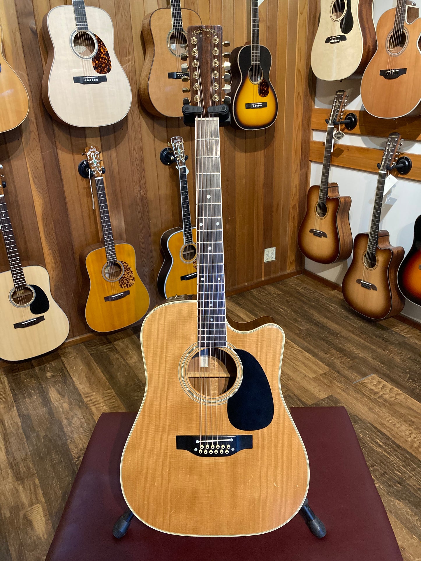 Takamine EF-400SC 12-String (1982)