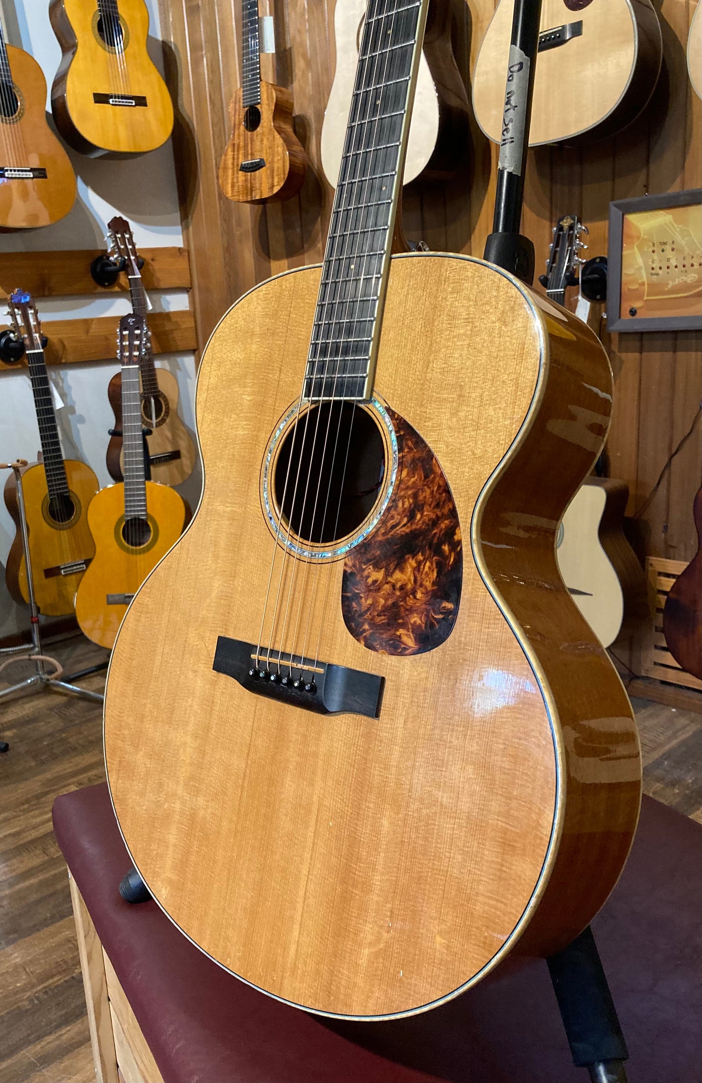 Morgan JM Jumbo Acoustic (2006)