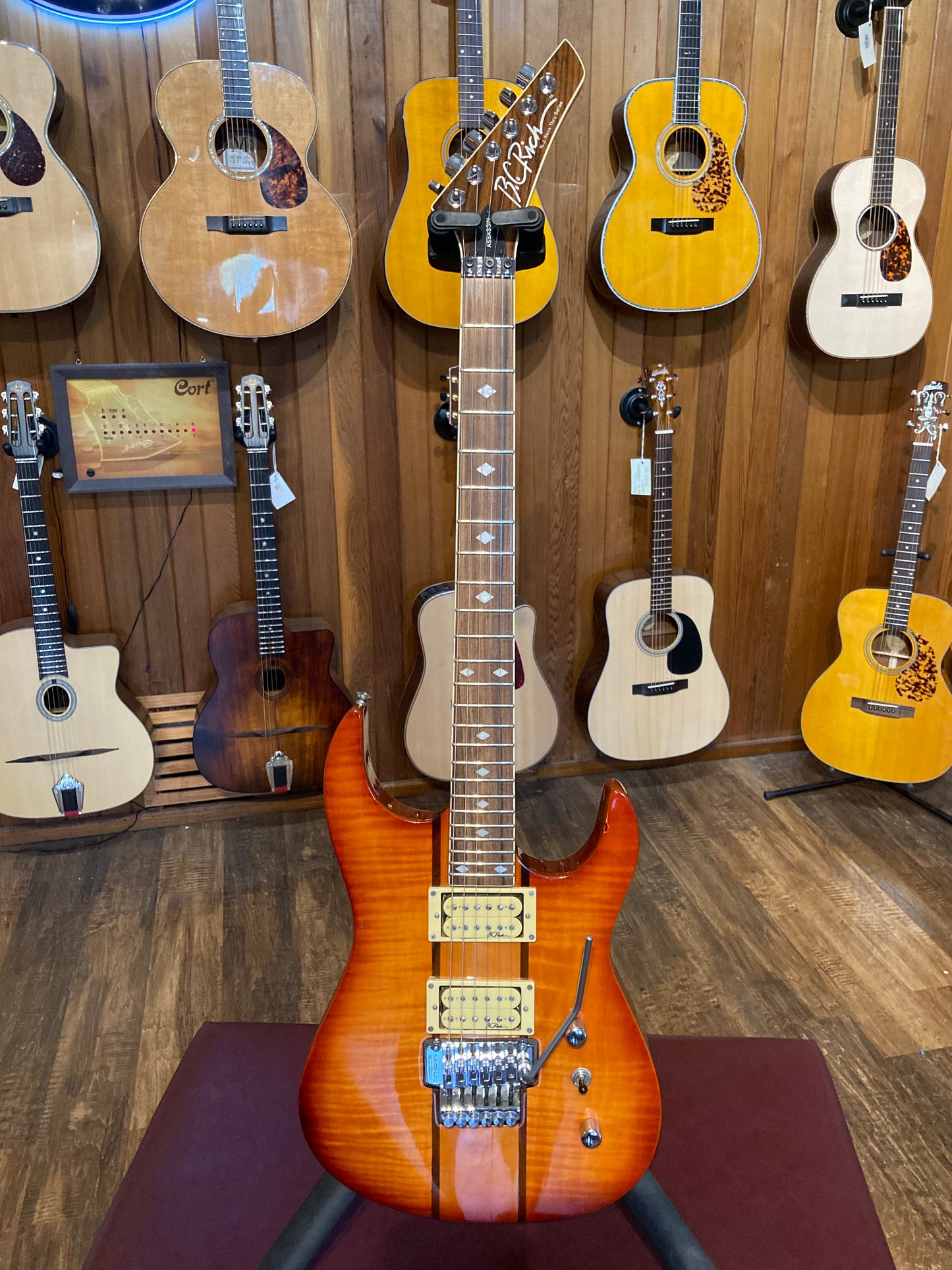 B.C. Rich Assassin NJ Series (Used)