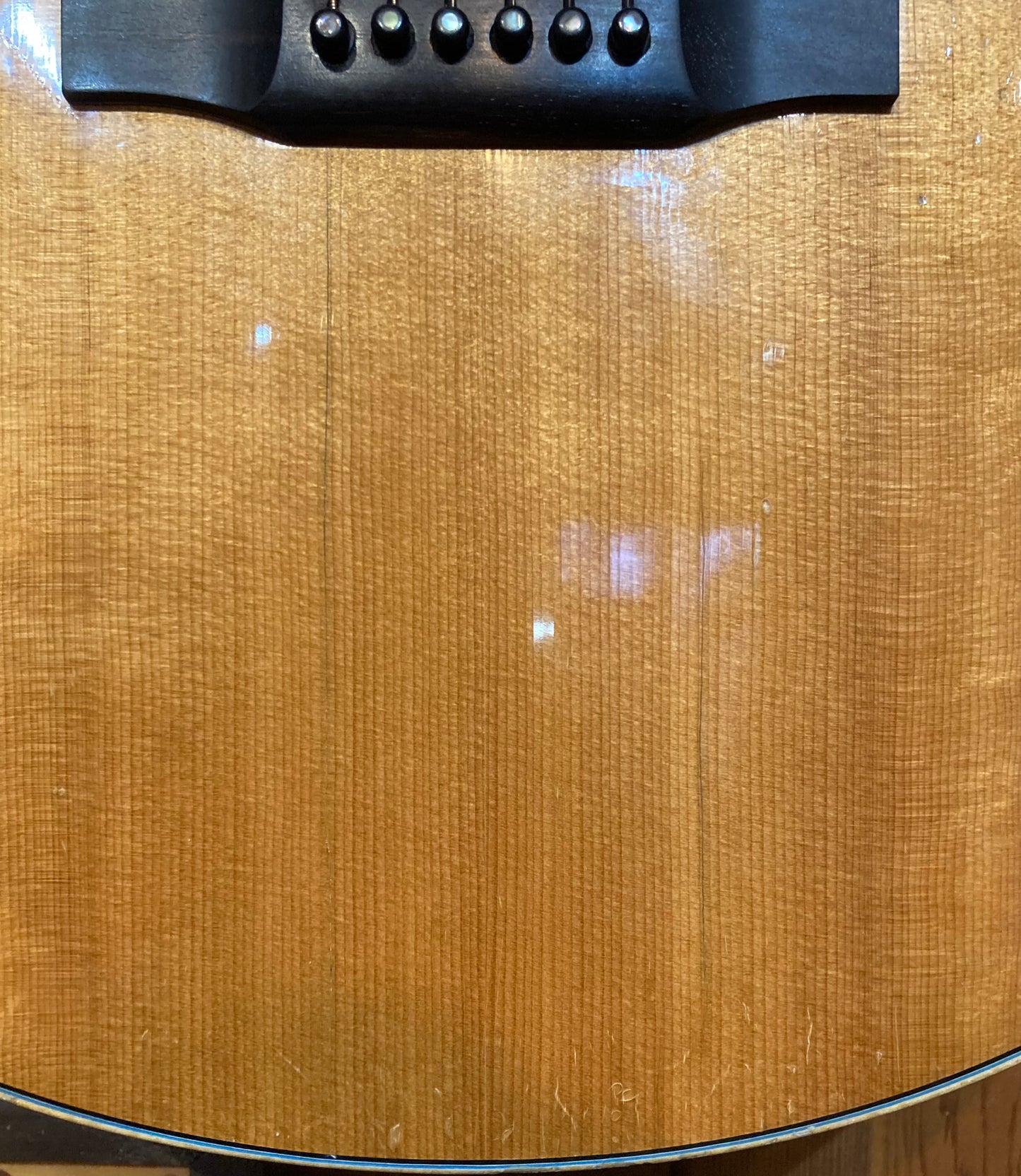 Morgan JM Jumbo Acoustic (2006)