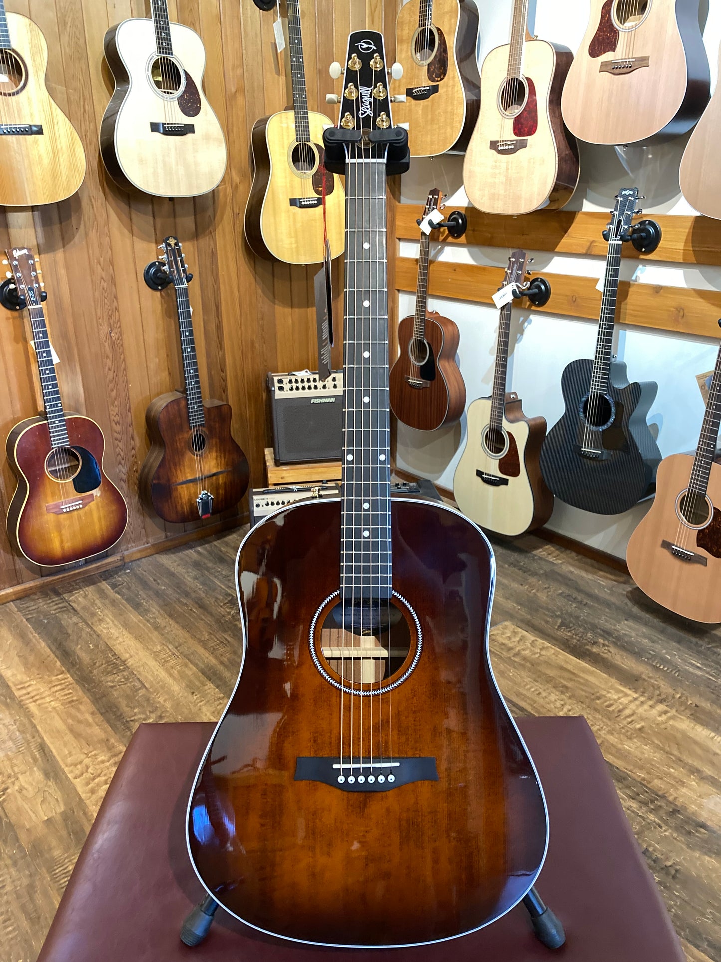 Seagull Maritime SWS Mahogany Burnt Umber GT QIT SF