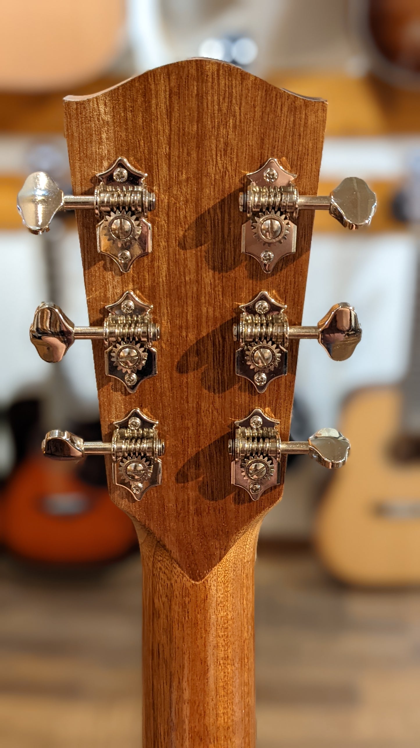 Eastman E100SS-LTD 2019 (Used)