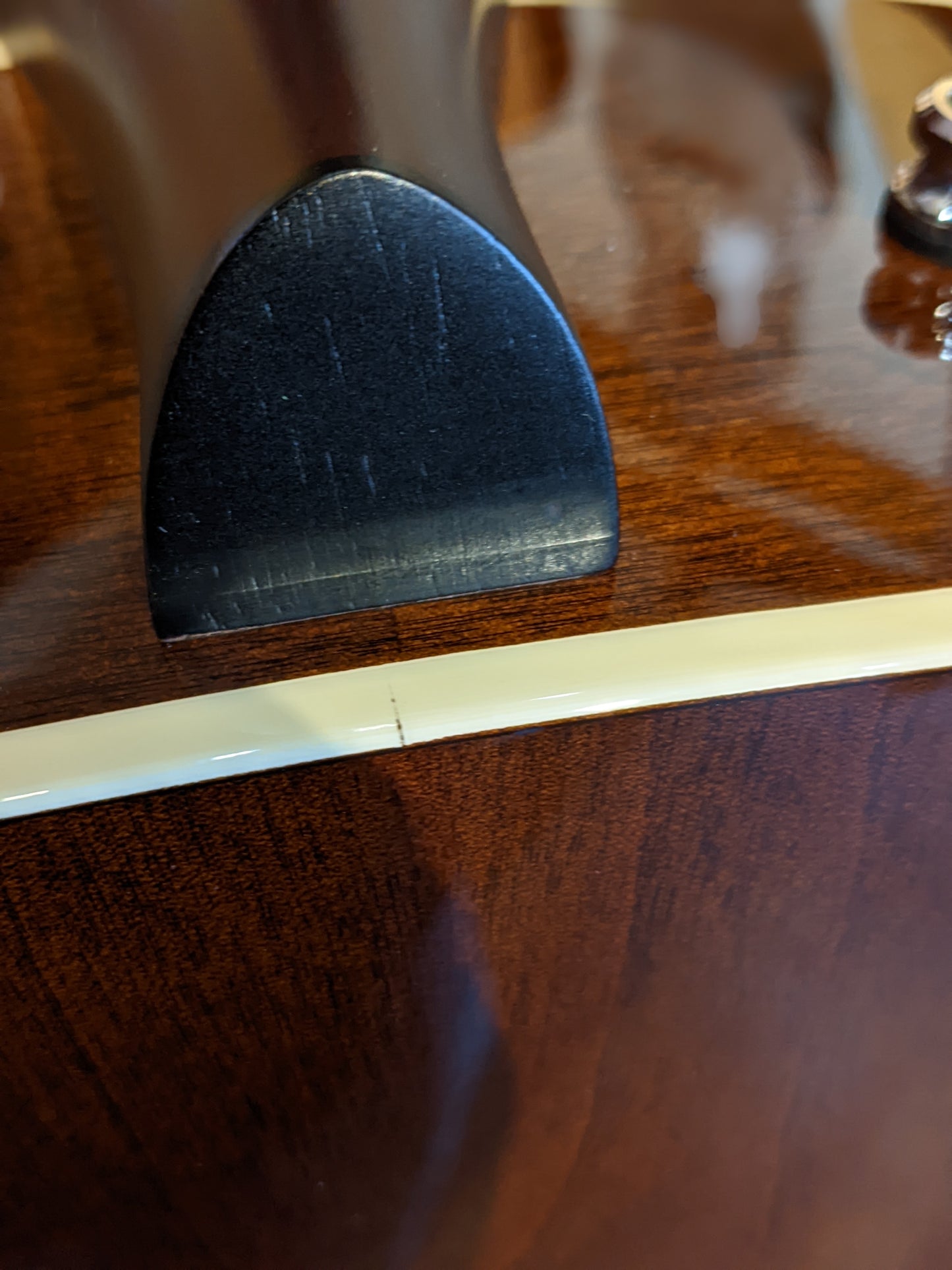 Seagull Coastline Momentum A/E HG SF