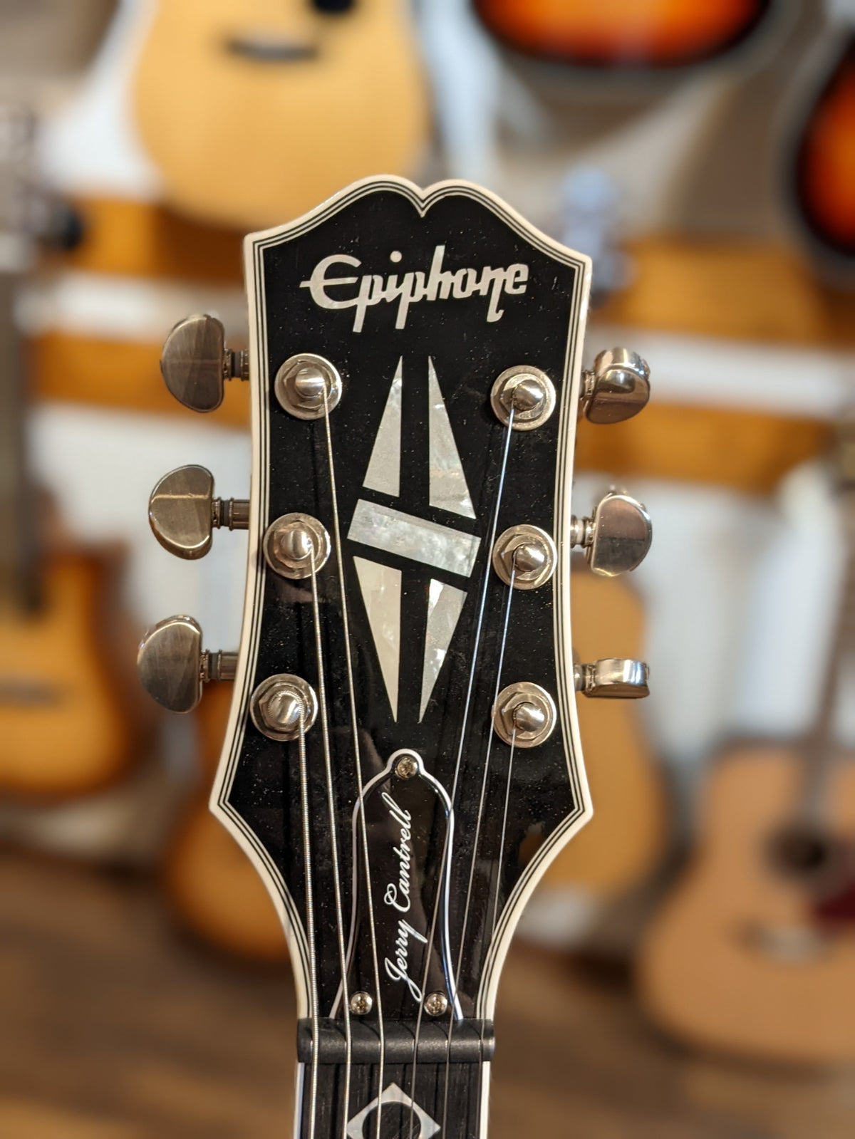 Epiphone Jerry Cantrell Les Paul Custom Prophecy w/Case (Used/Damaged)