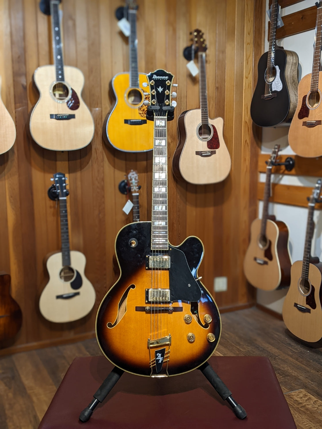 Ibanez af120 store