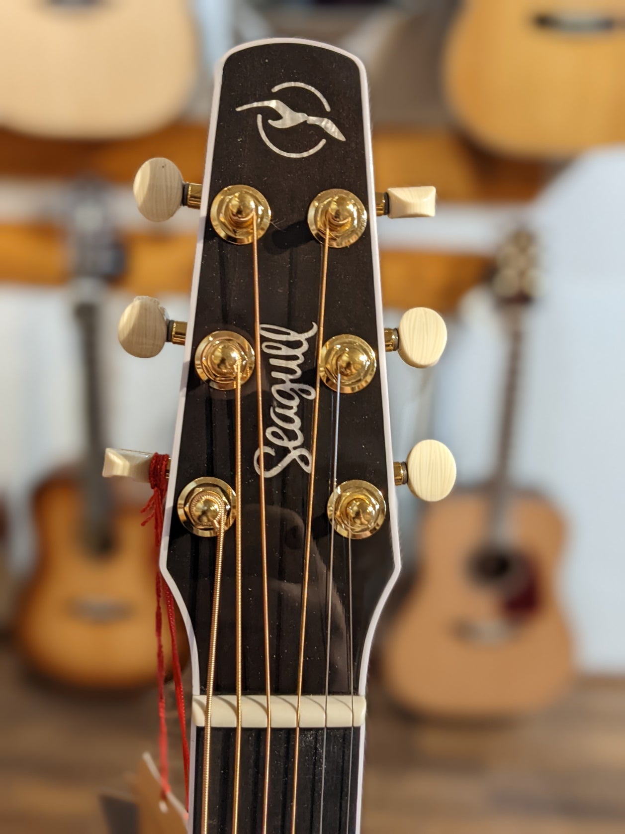 Seagull Artist Mosaic CH CW Bourbon Burst GT EQ SF w/Gig Bag