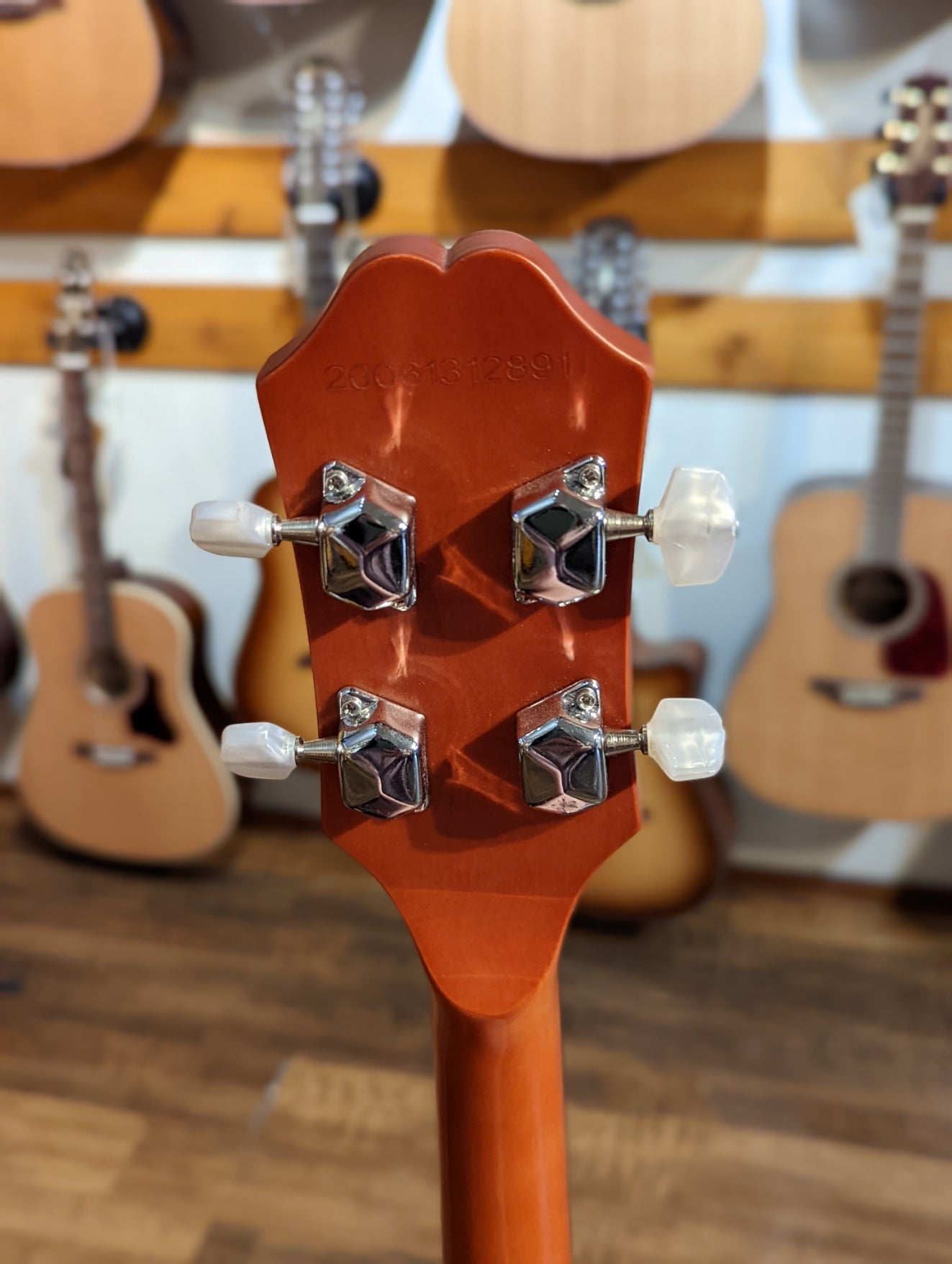 Epiphone MB-100 5 String Banjo (Used)