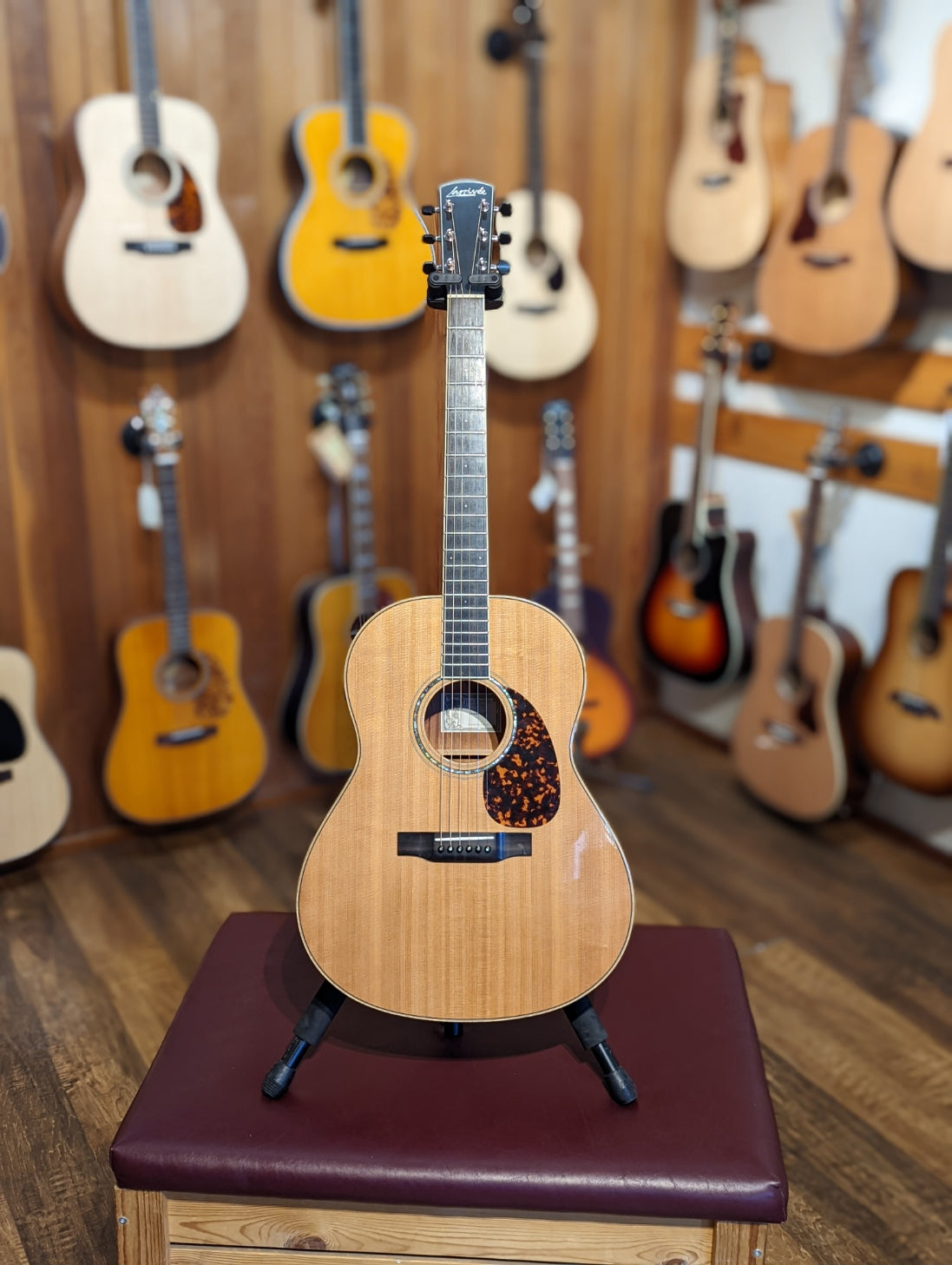 Larrivée Guitars L-05 Mahogany w/Case (2006)