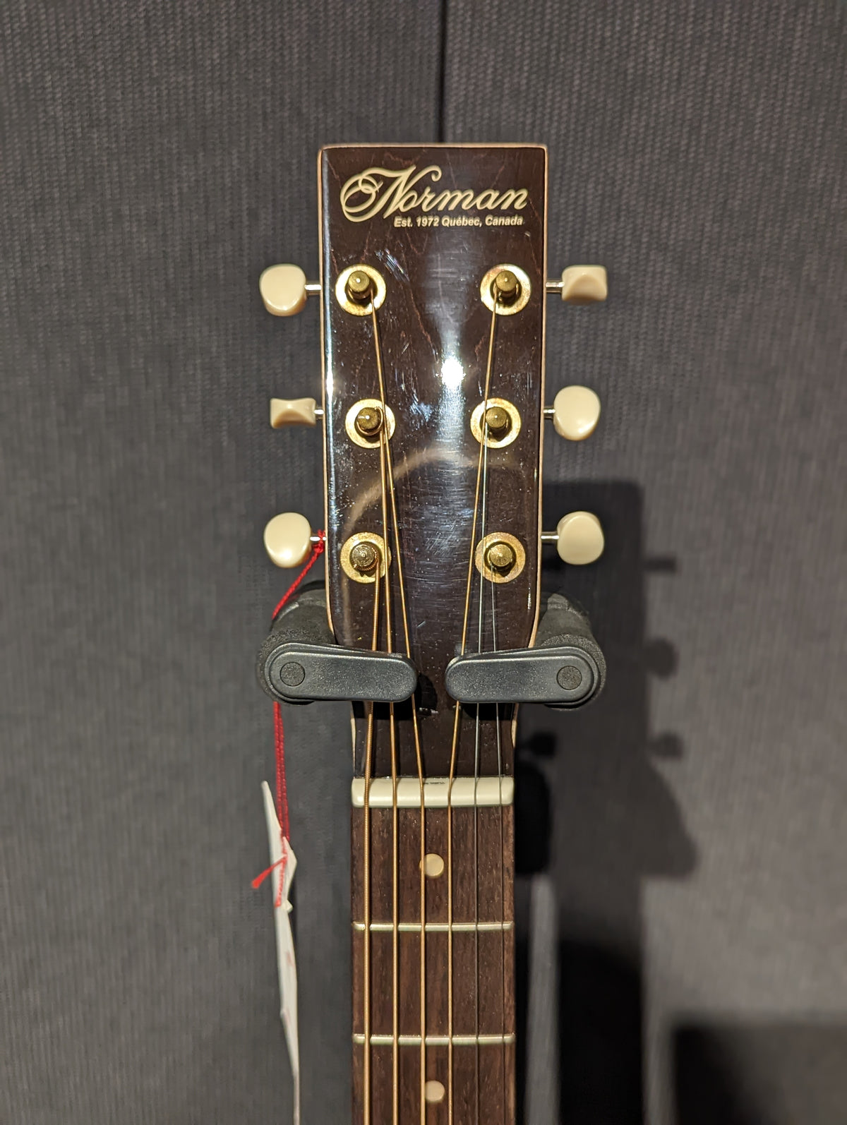 Norman B20 Natural GT Presys II SF